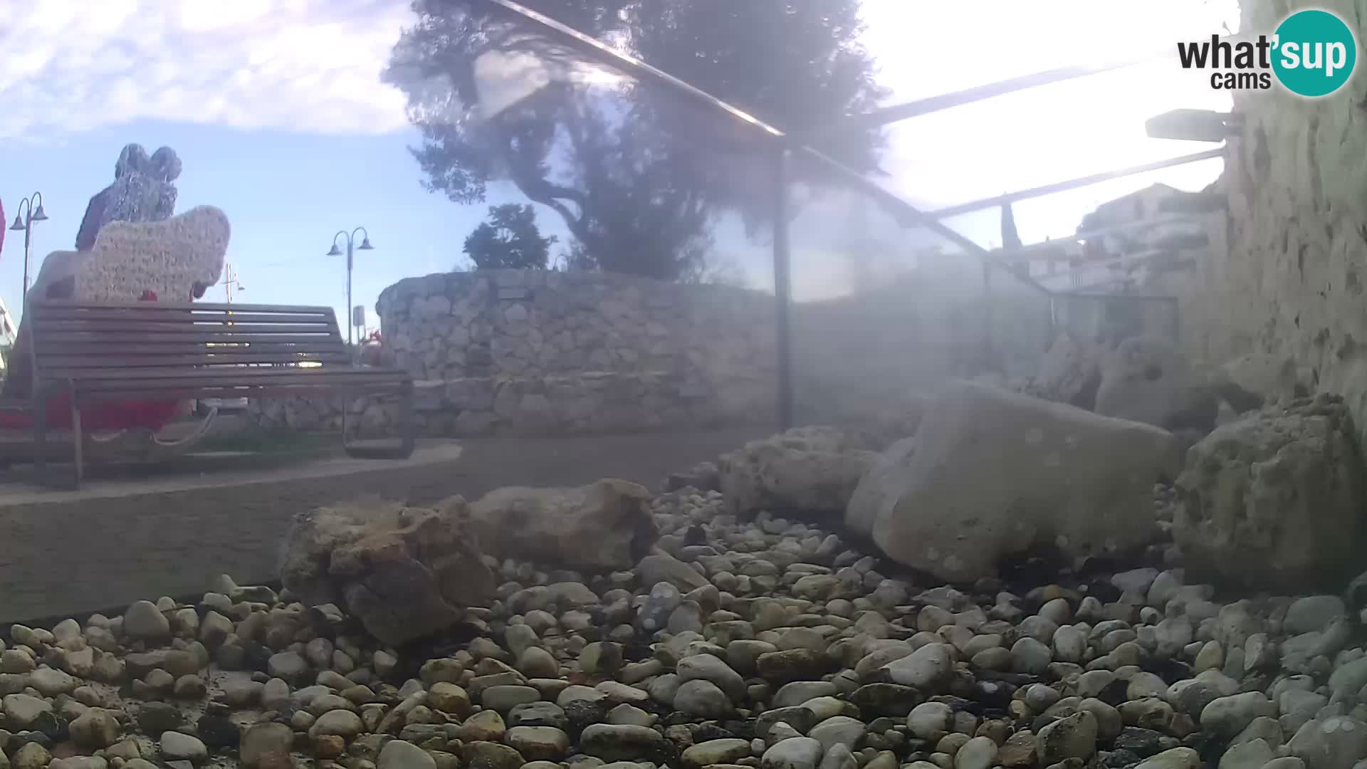 Outdoor Marine Aquarium Rogoznica webcam Croatia