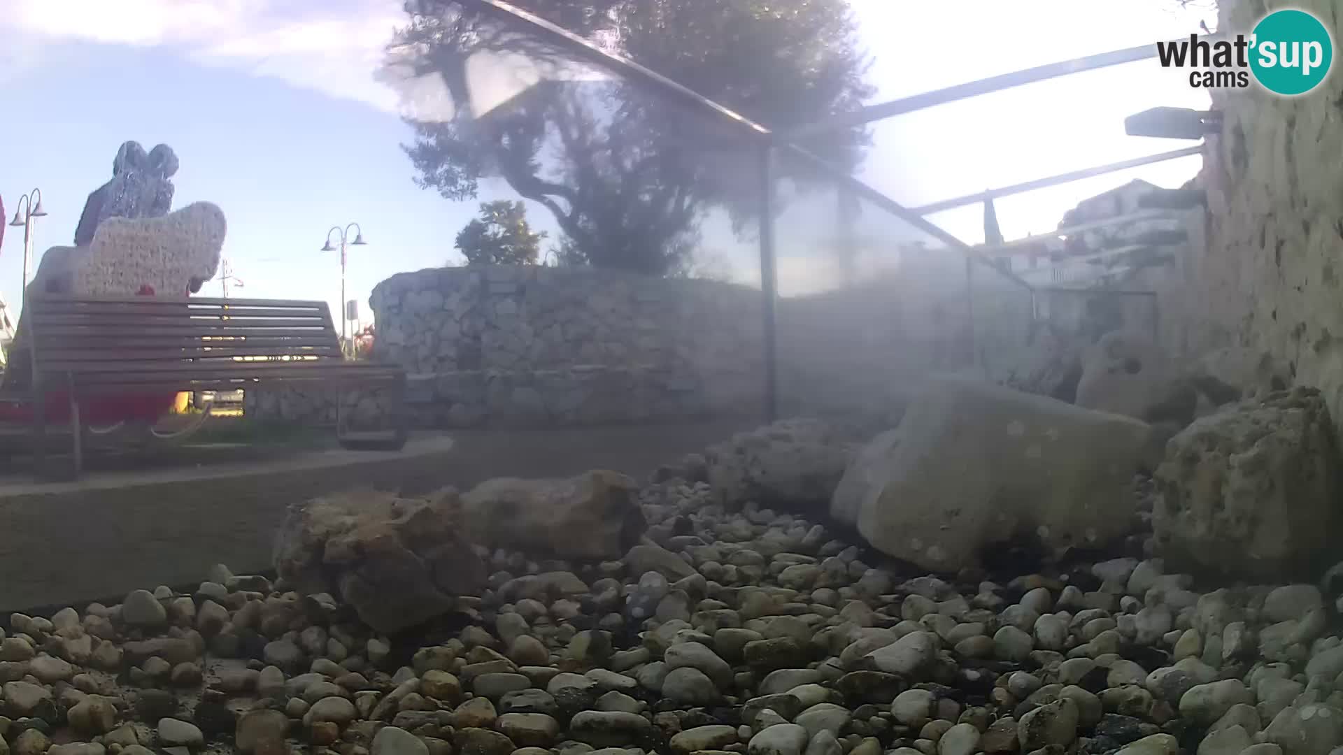 Outdoor Marine Aquarium Rogoznica webcam Croatia
