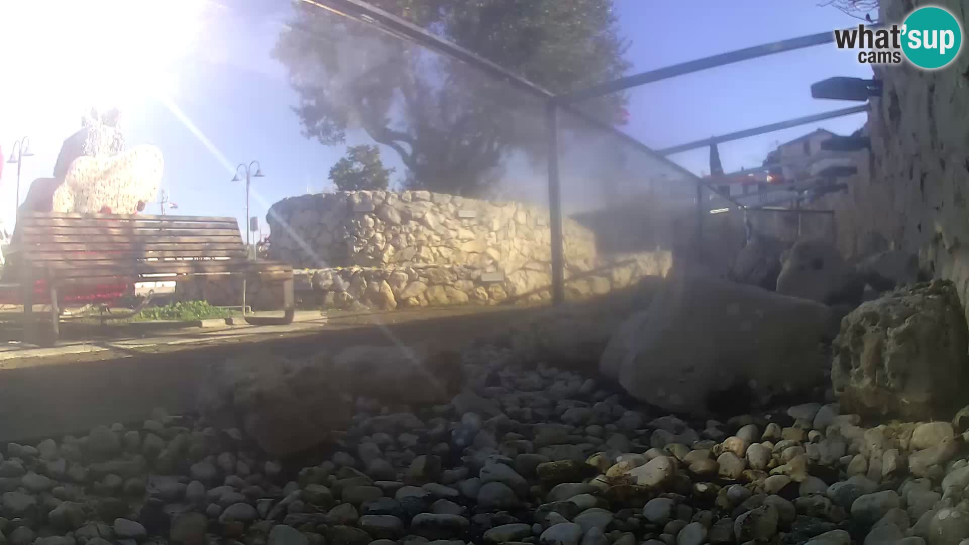 Aquario marino esterno –  Rogoznica livecam Croazia