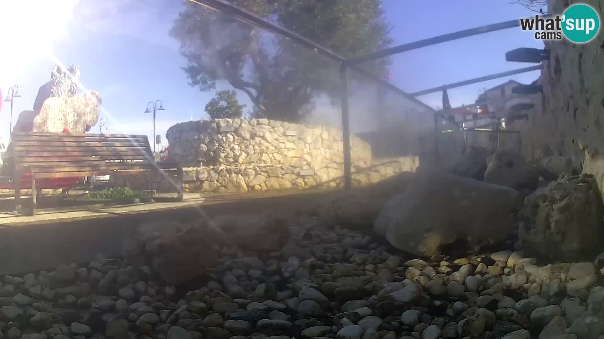 Aquario marino esterno –  Rogoznica livecam Croazia