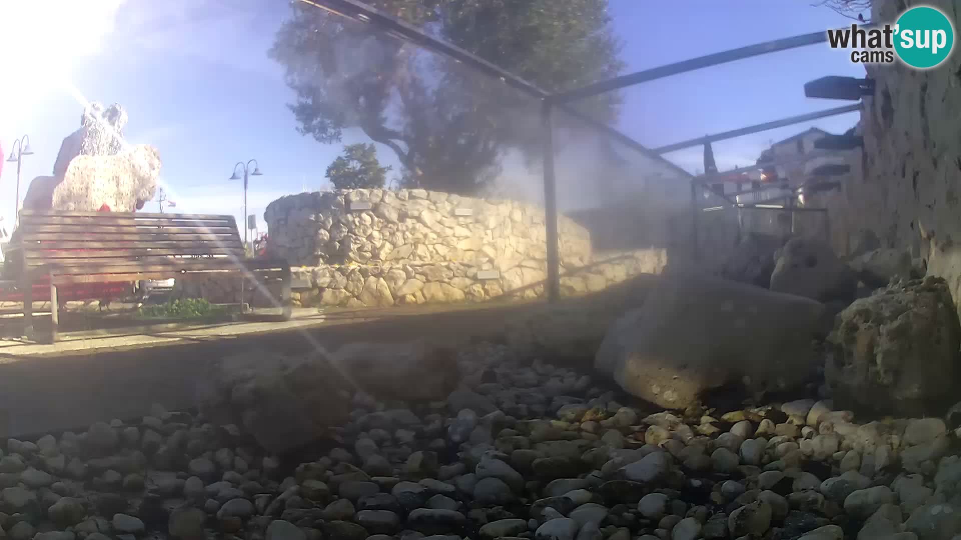 Aquario marino esterno –  Rogoznica livecam Croazia