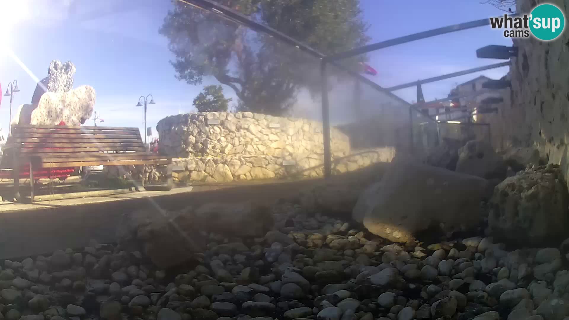 Acuario marino al aire libre Rogoznica webcam Croacia