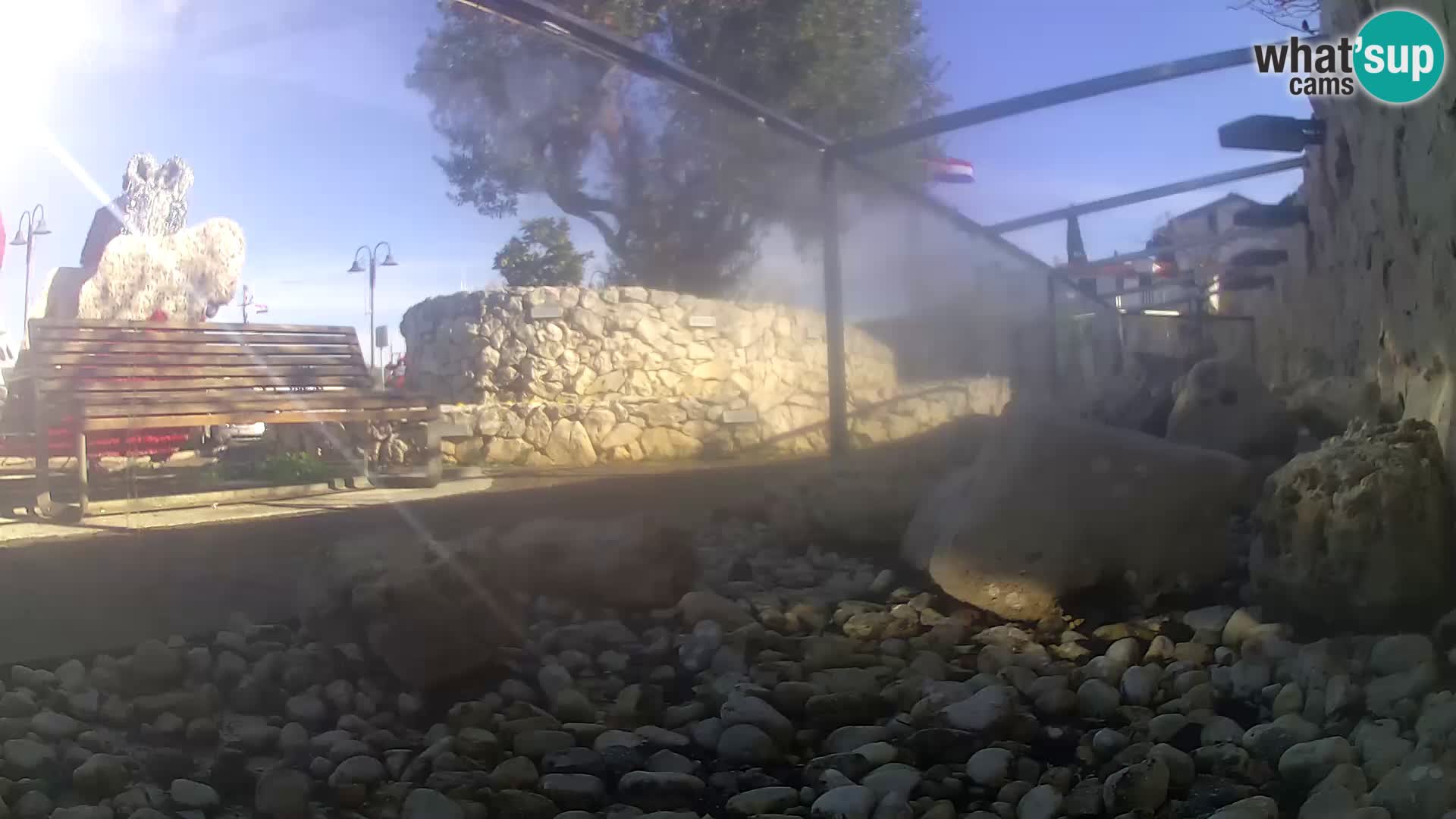 Zunanji morski akvarij Rogoznica spletna kamera Hrvaška