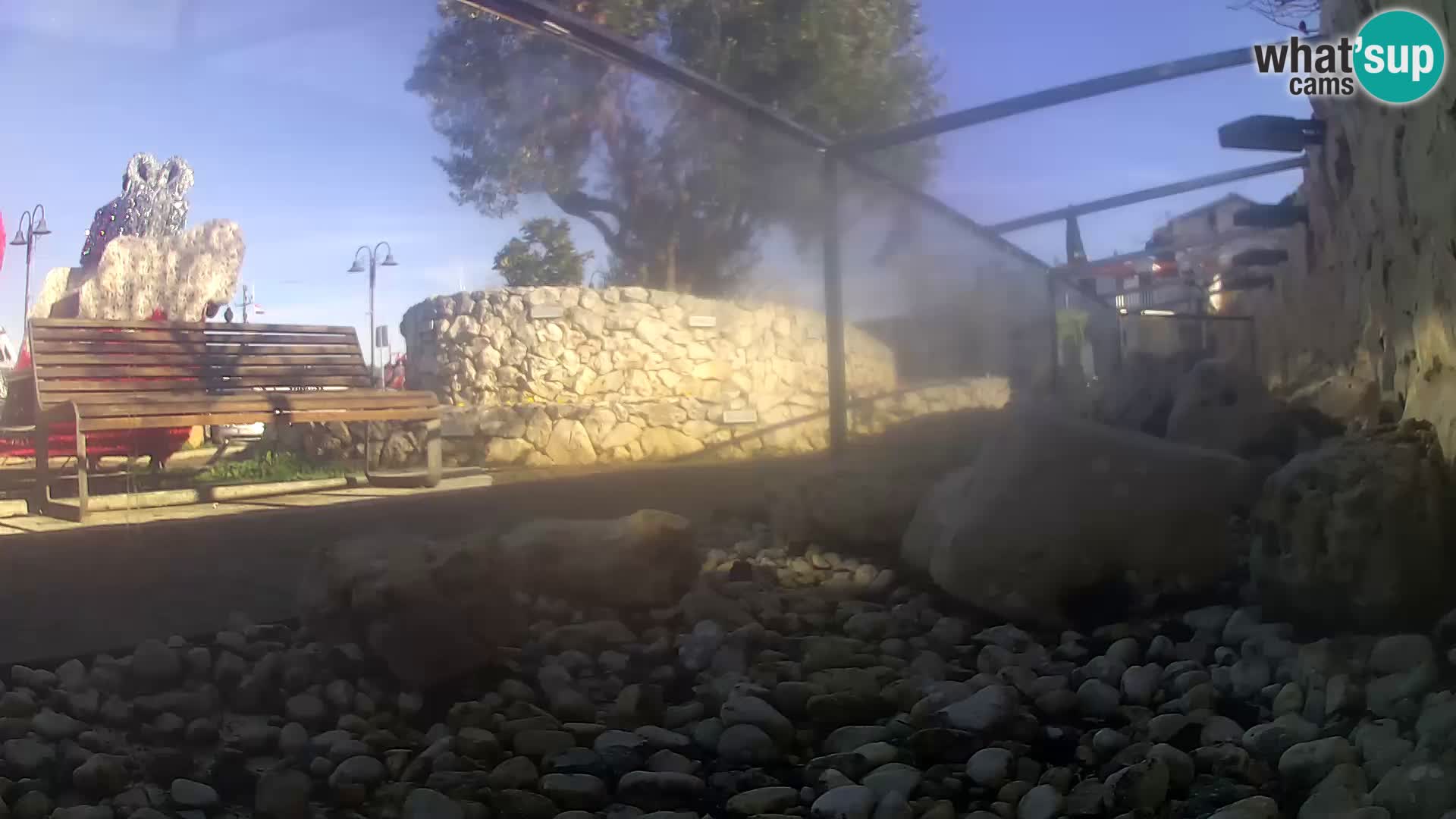 Outdoor Marine Aquarium Rogoznica webcam Croatia