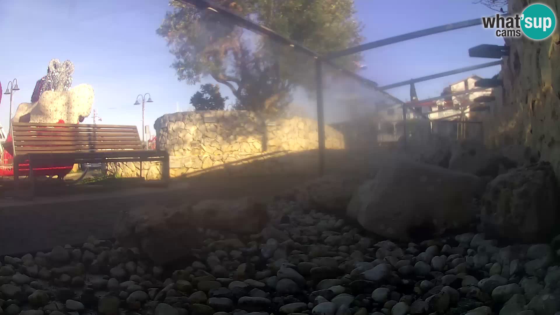 Aquario marino esterno –  Rogoznica livecam Croazia