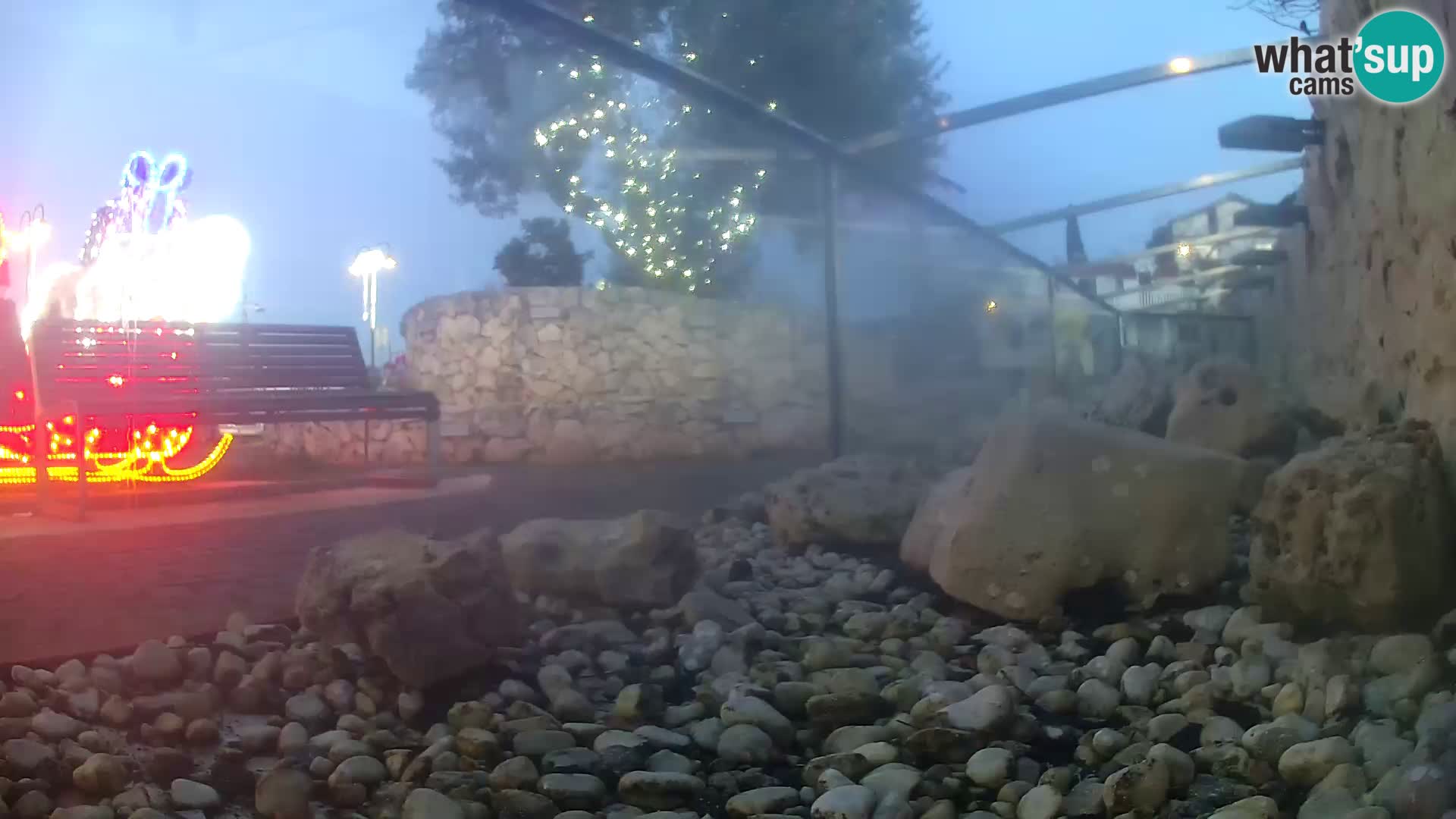 Vanjski morski akvarij Rogoznica web kamera Hrvatska