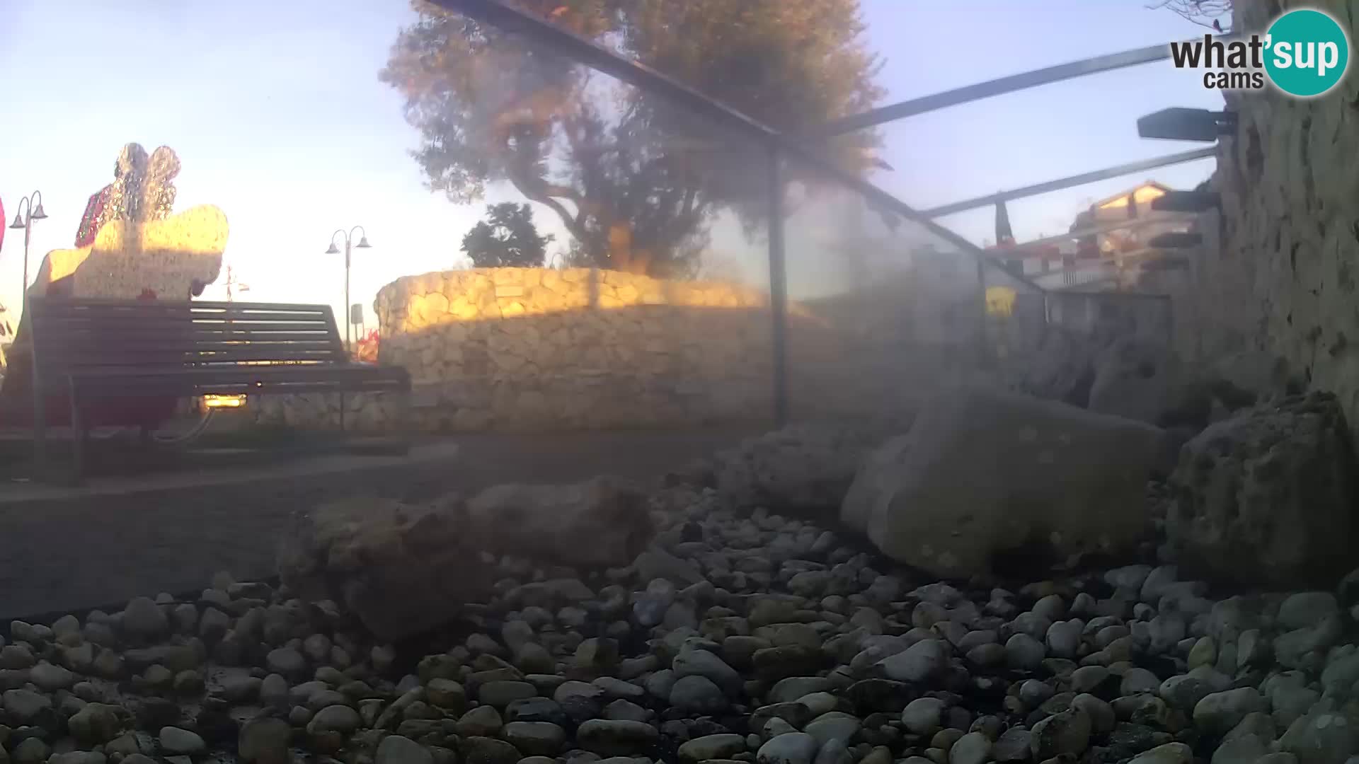 Aquario marino esterno –  Rogoznica livecam Croazia