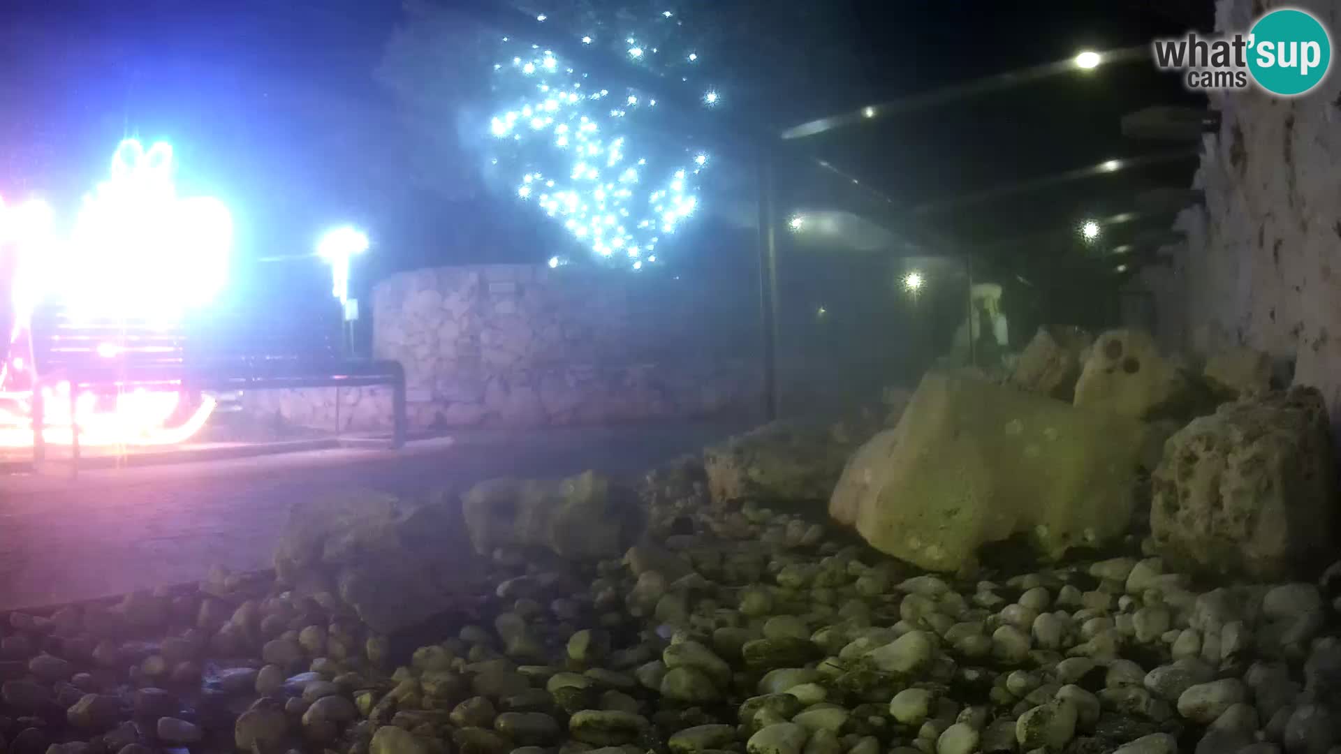 Aquario marino esterno –  Rogoznica livecam Croazia