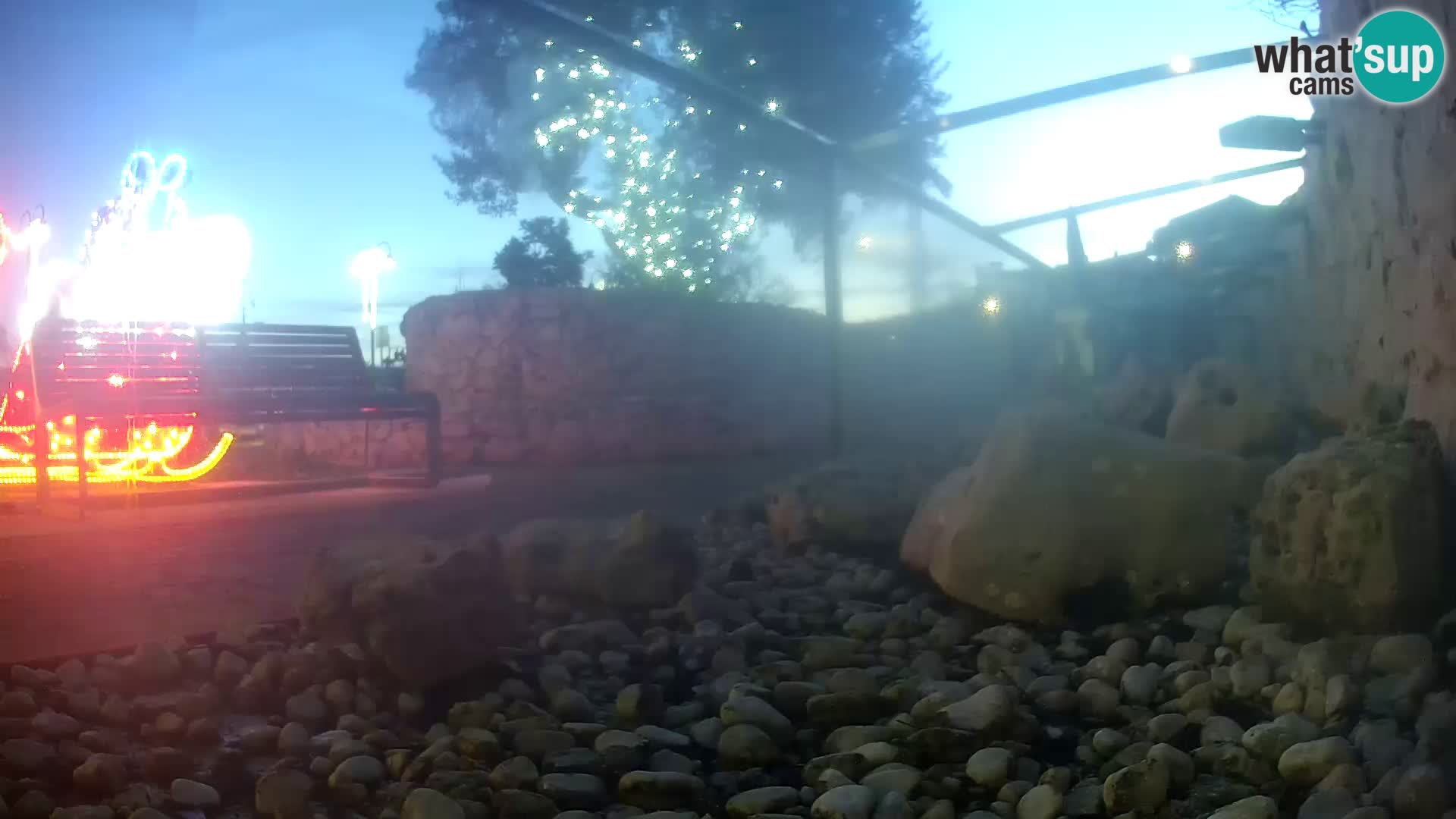 Aquario marino esterno –  Rogoznica livecam Croazia