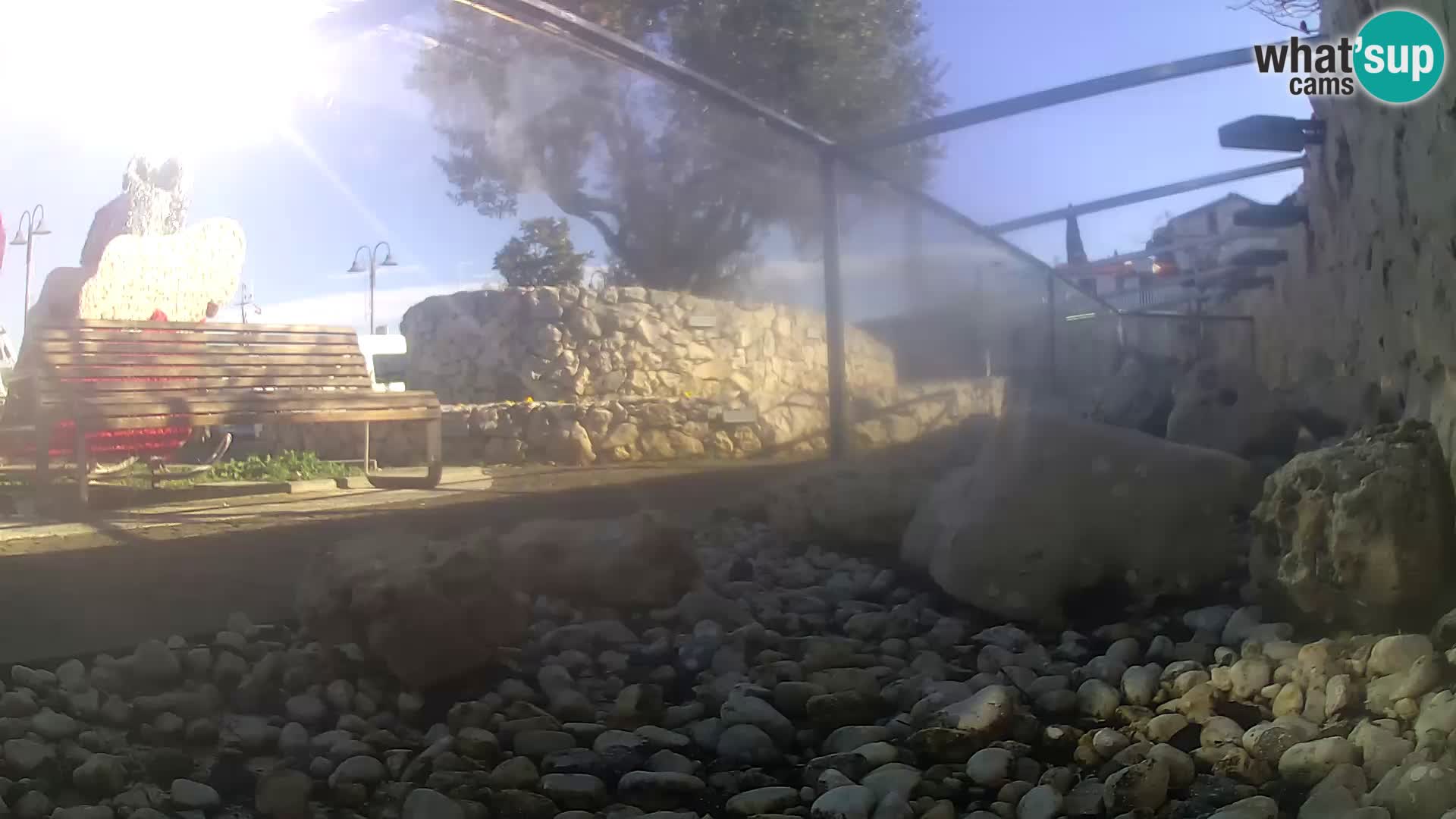 Zunanji morski akvarij Rogoznica spletna kamera Hrvaška