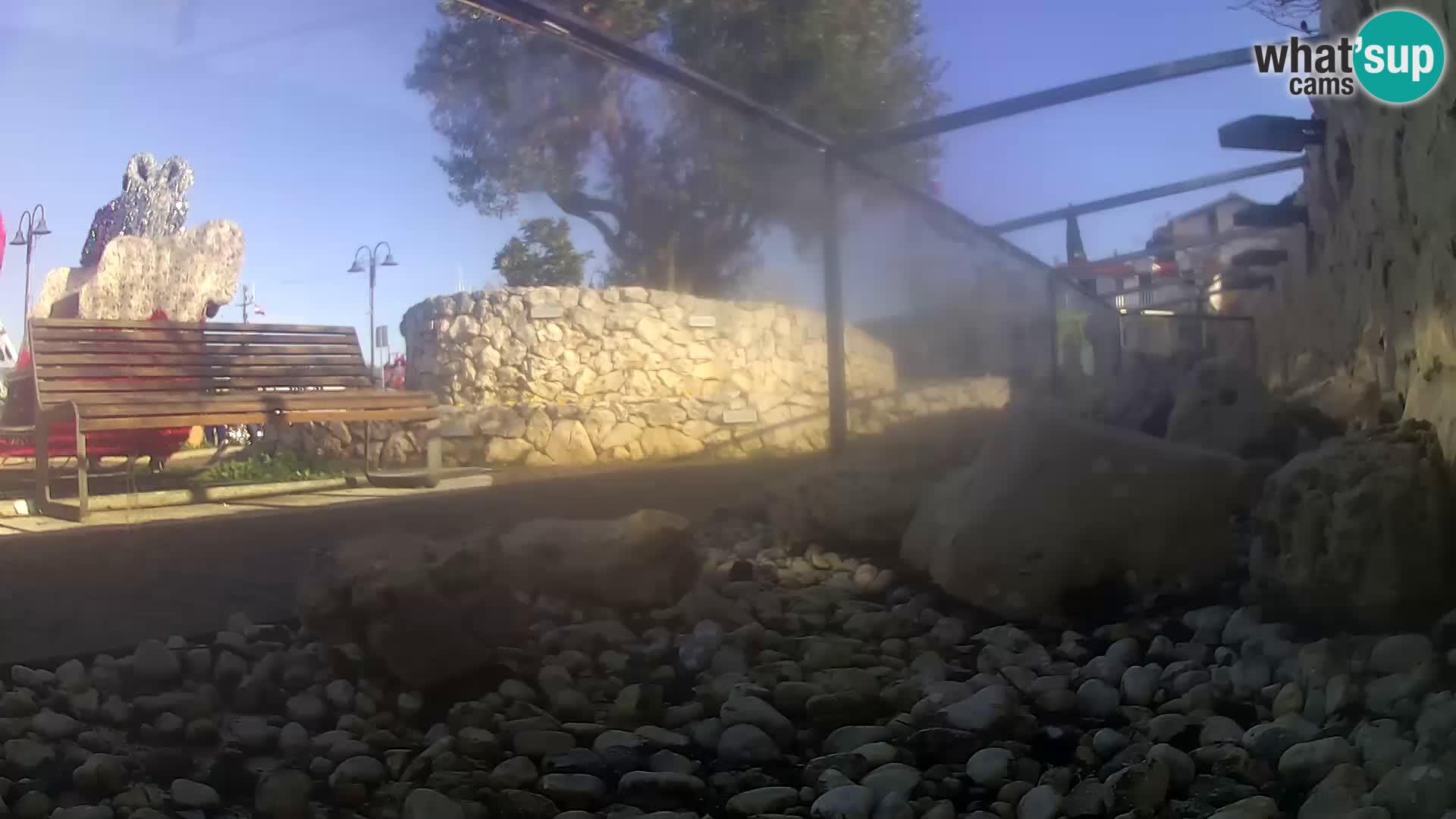 Acuario marino al aire libre Rogoznica webcam Croacia