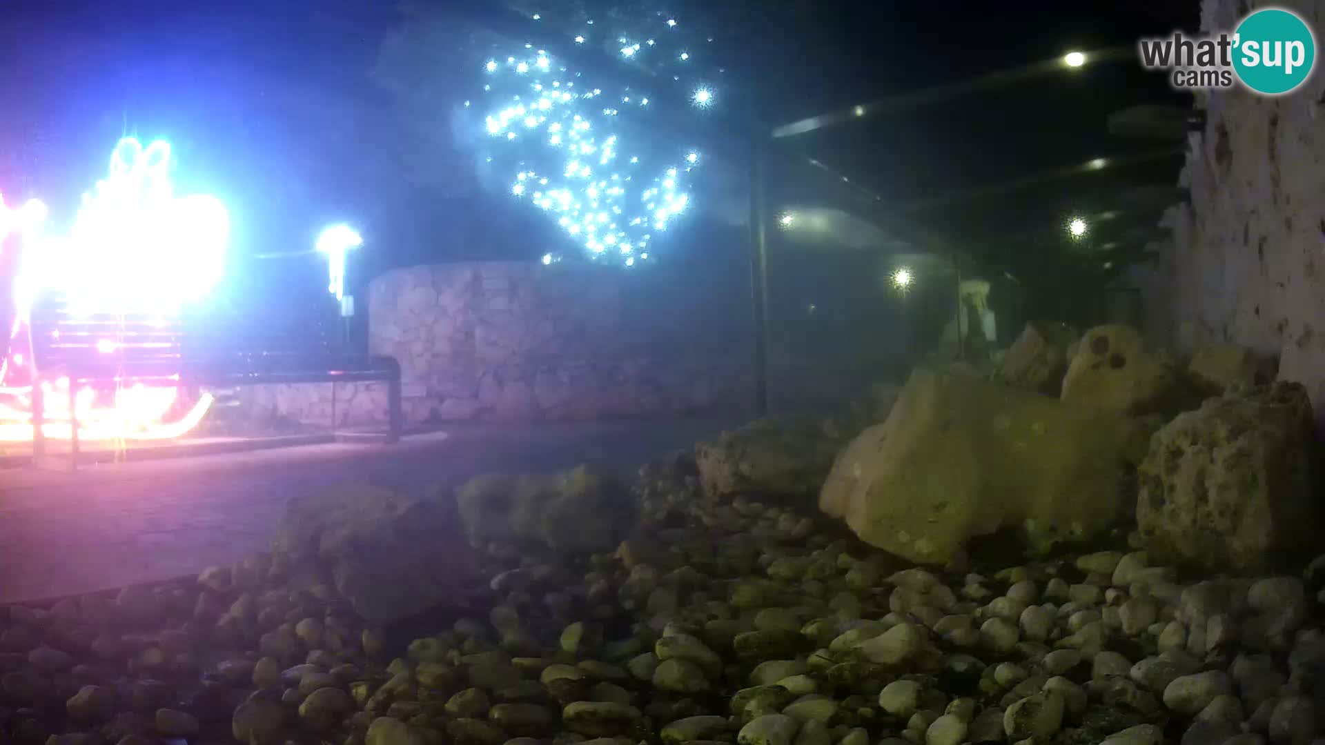 Acuario marino al aire libre Rogoznica webcam Croacia