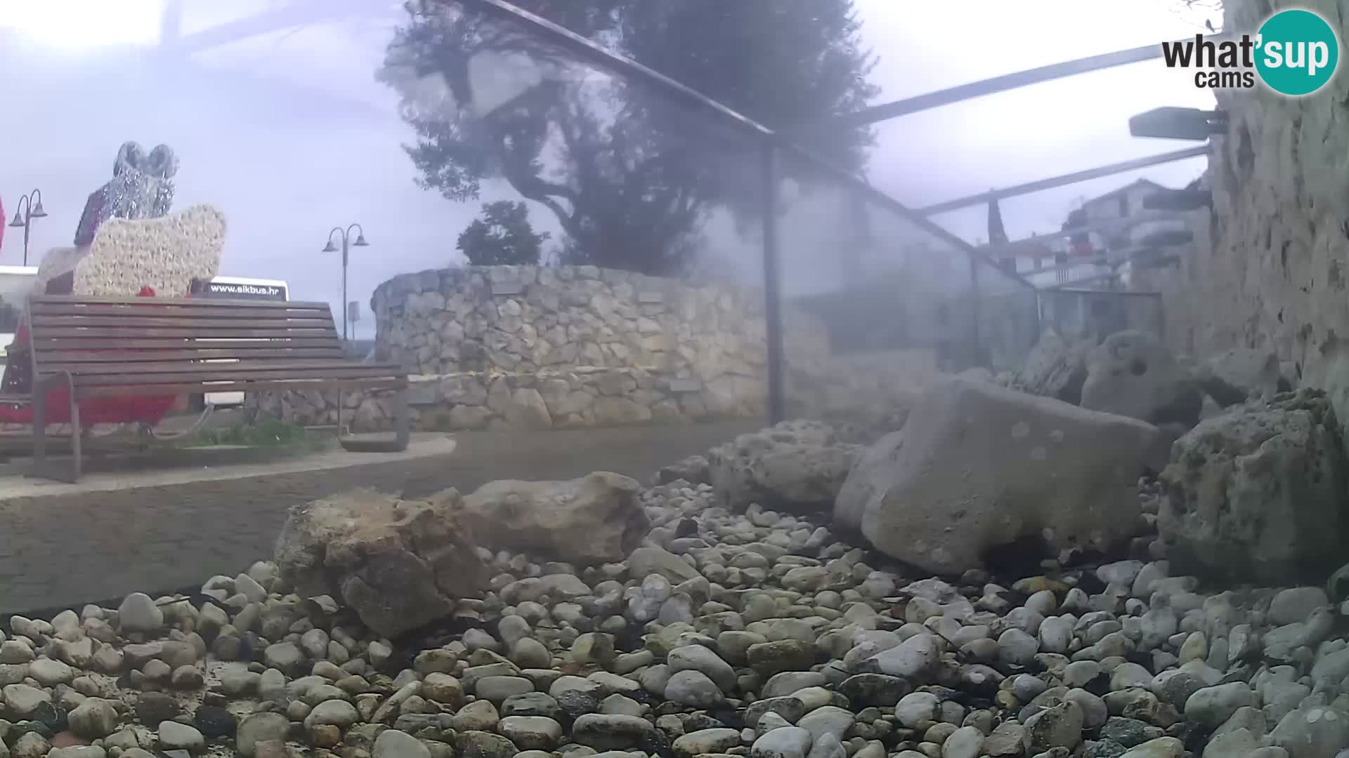 Aquario marino esterno –  Rogoznica livecam Croazia