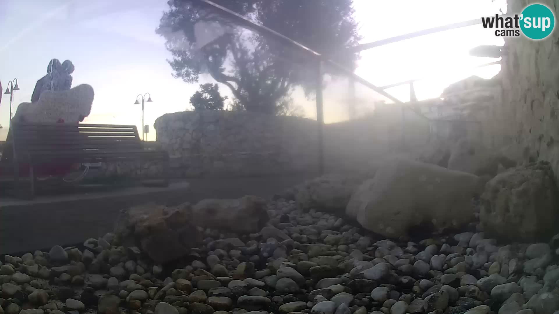 Aquario marino esterno – Rogoznica livecam Croazia