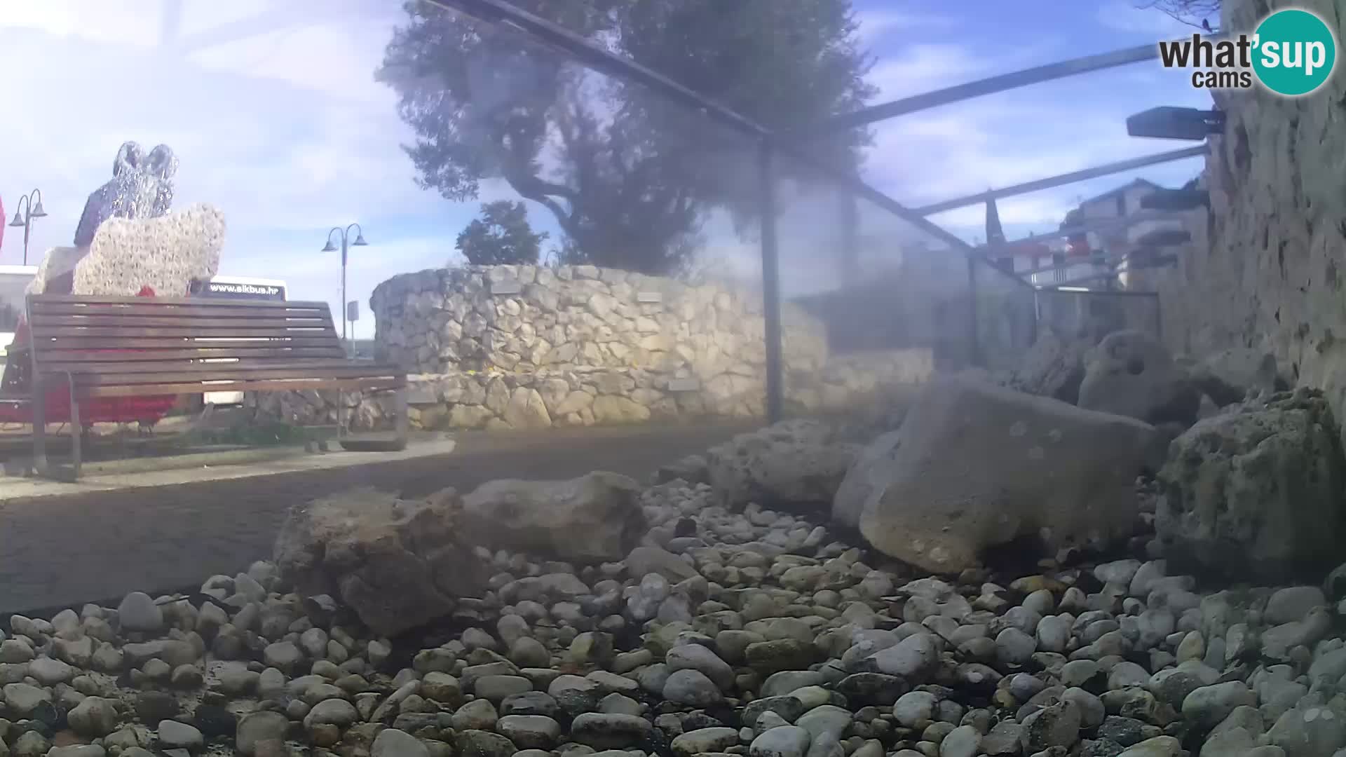 Aquario marino esterno –  Rogoznica livecam Croazia