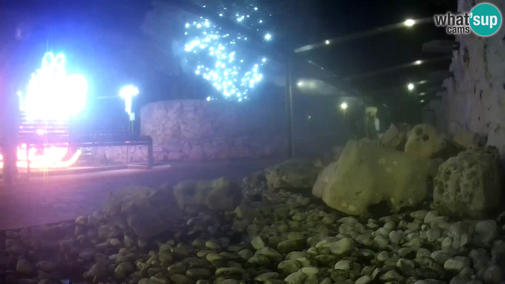 Aquario marino esterno –  Rogoznica livecam Croazia