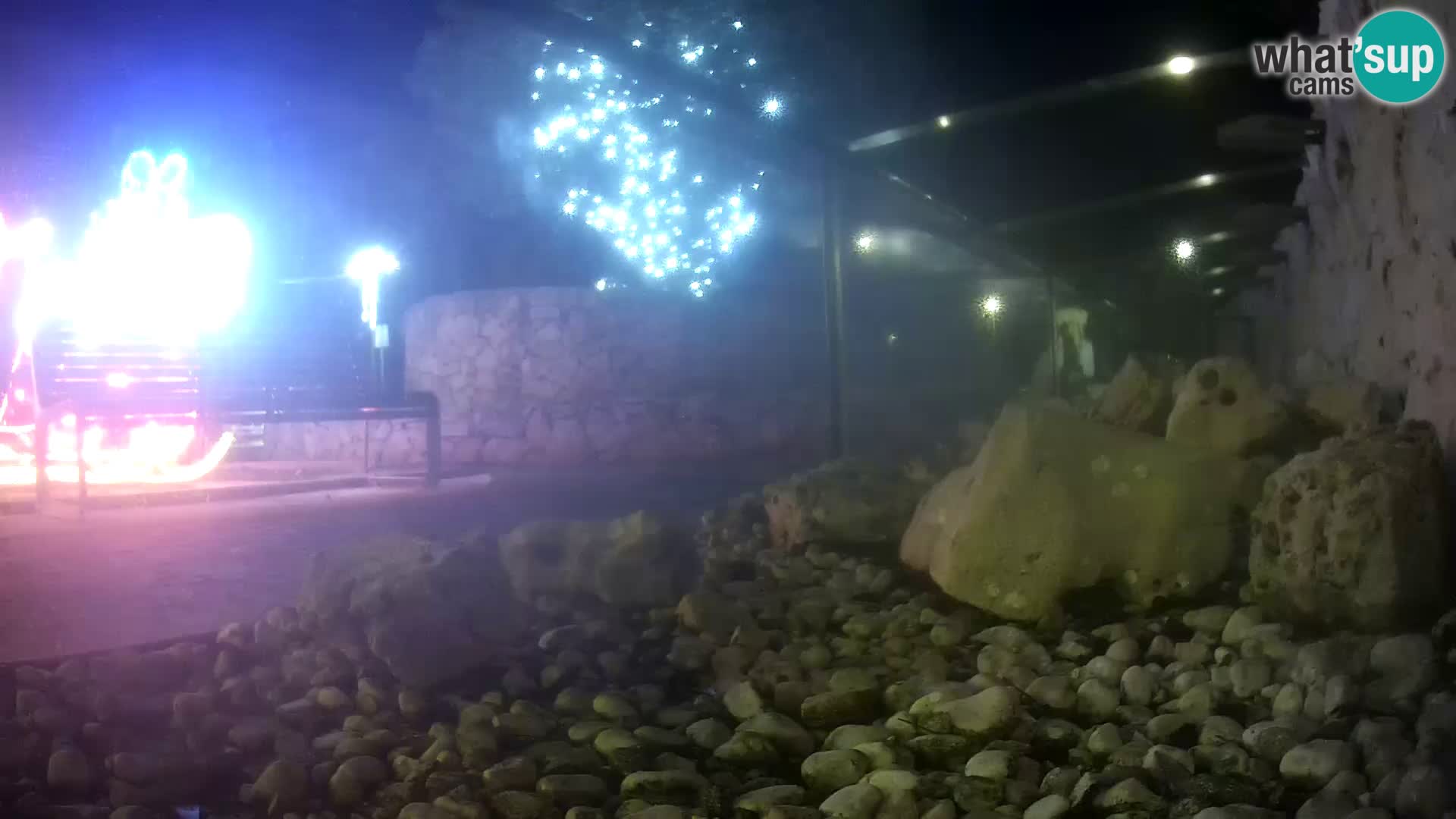 Outdoor Marine Aquarium Rogoznica webcam Croatia