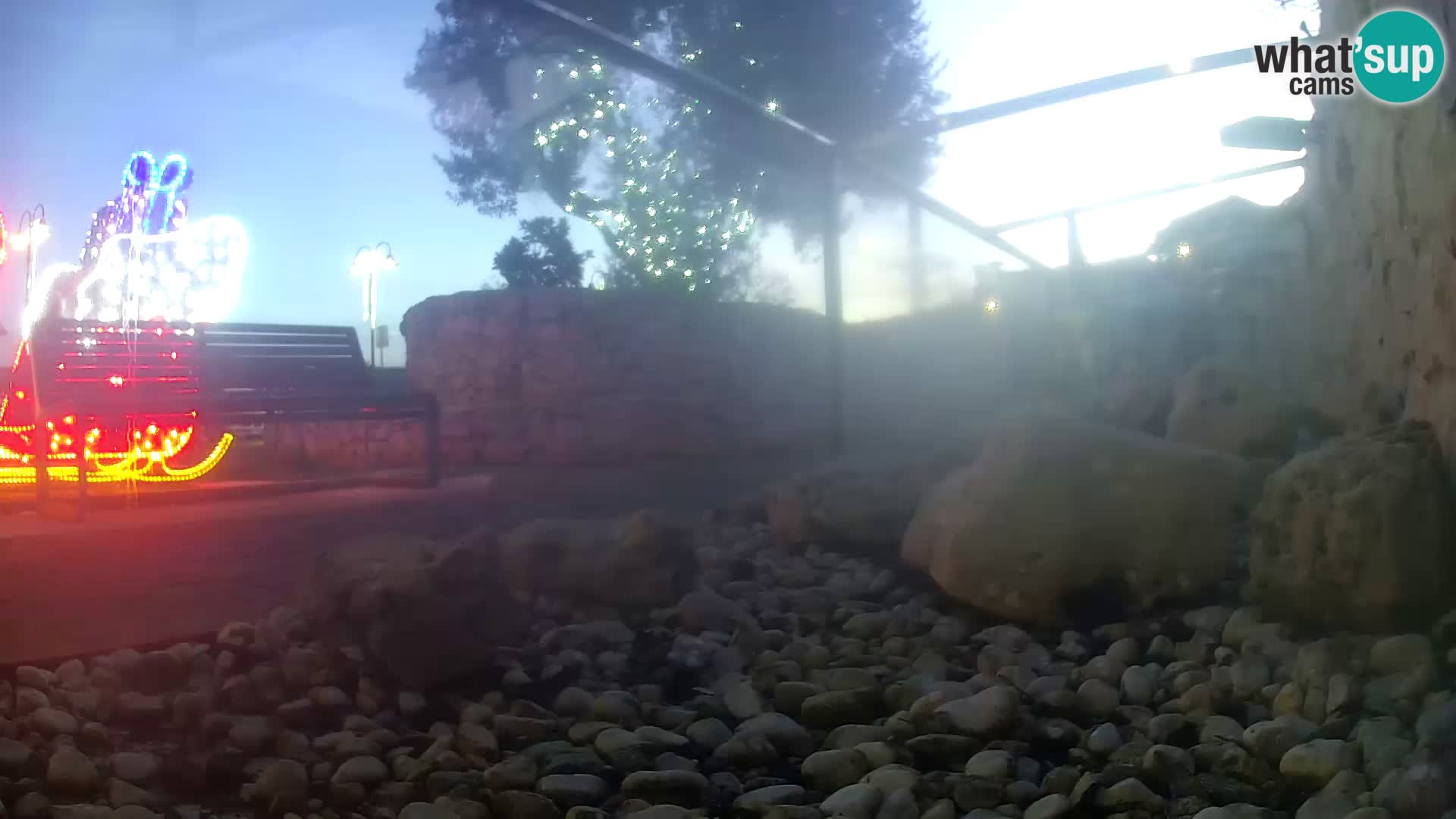 Aquario marino esterno –  Rogoznica livecam Croazia