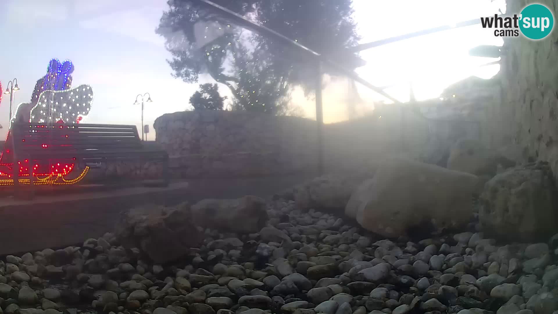 Zunanji morski akvarij Rogoznica spletna kamera Hrvaška