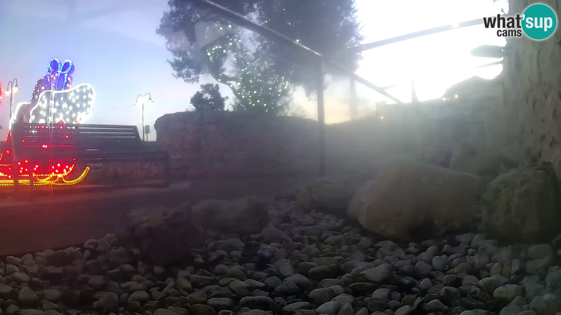 Vanjski morski akvarij Rogoznica web kamera Hrvatska