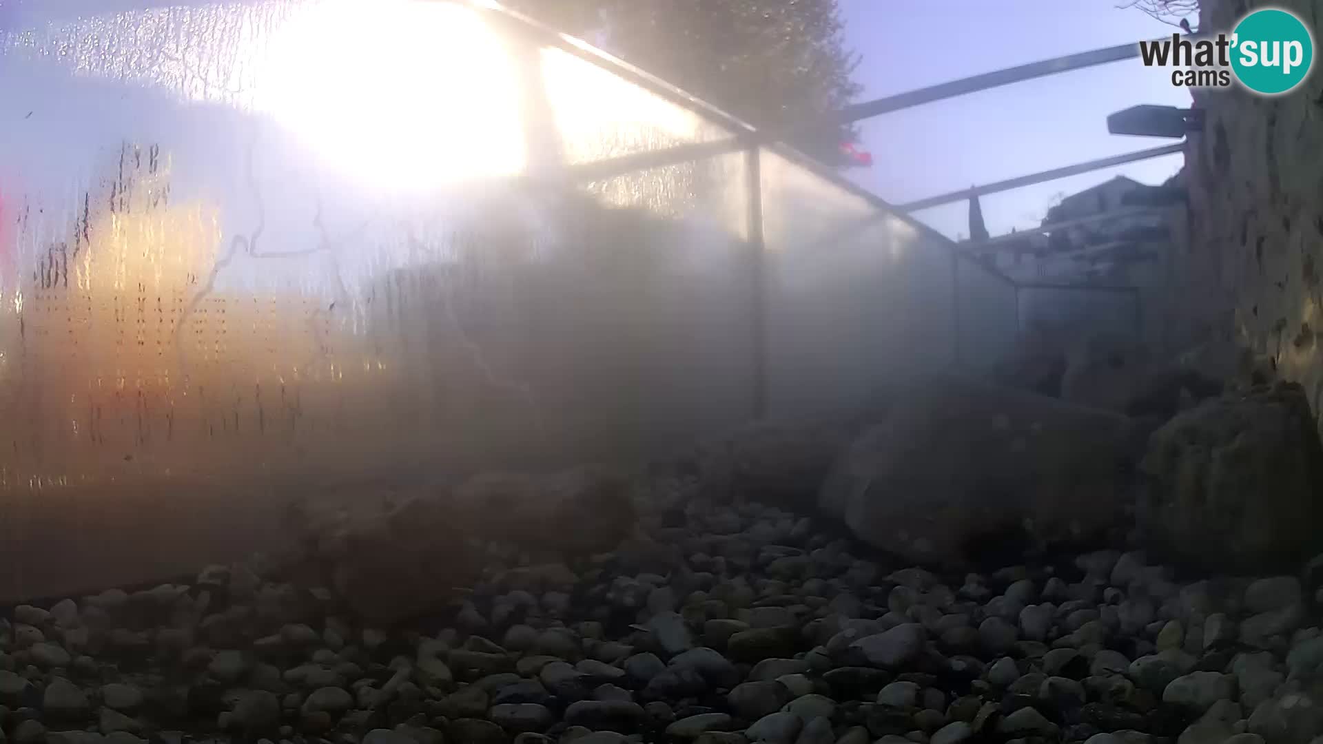 Acuario marino al aire libre Rogoznica webcam Croacia