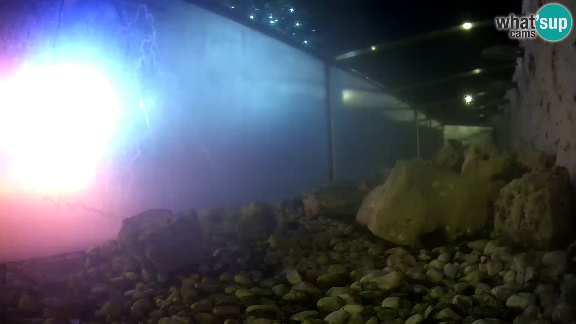 Webcam de l’aquarium marin extérieur de Rogoznica Croatie