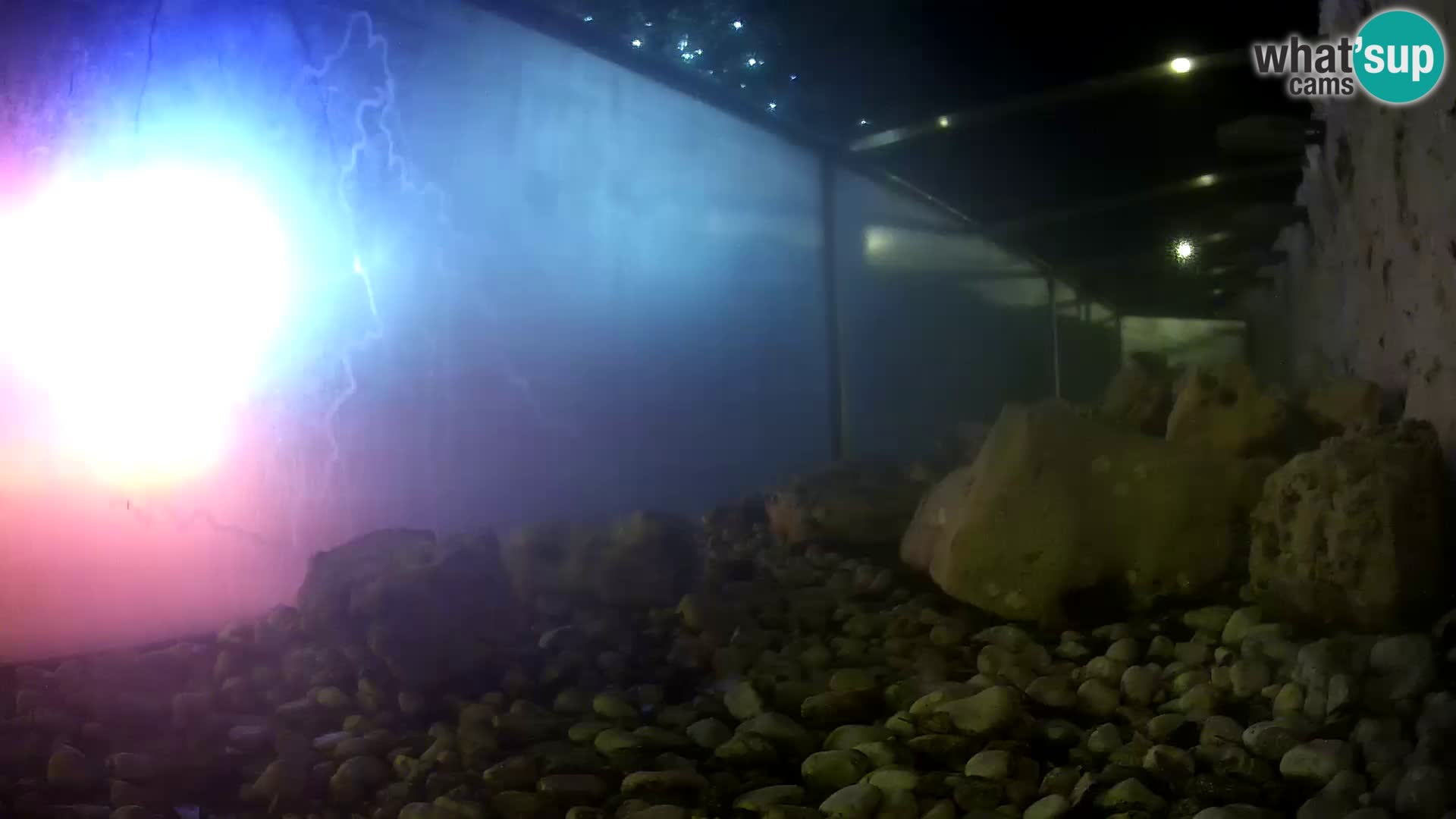 Vanjski morski akvarij Rogoznica web kamera Hrvatska