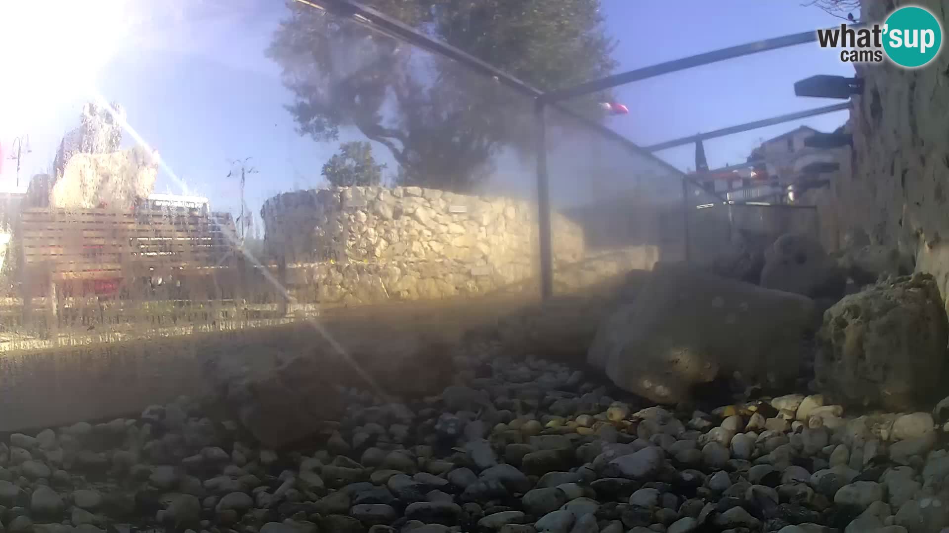 Webcam de l’aquarium marin extérieur de Rogoznica Croatie