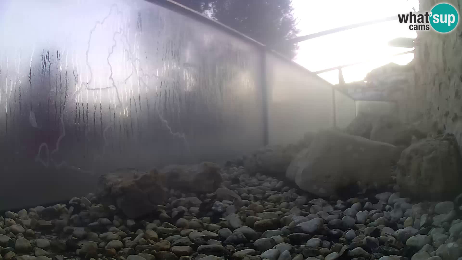 Outdoor Marine Aquarium Rogoznica webcam Croatia
