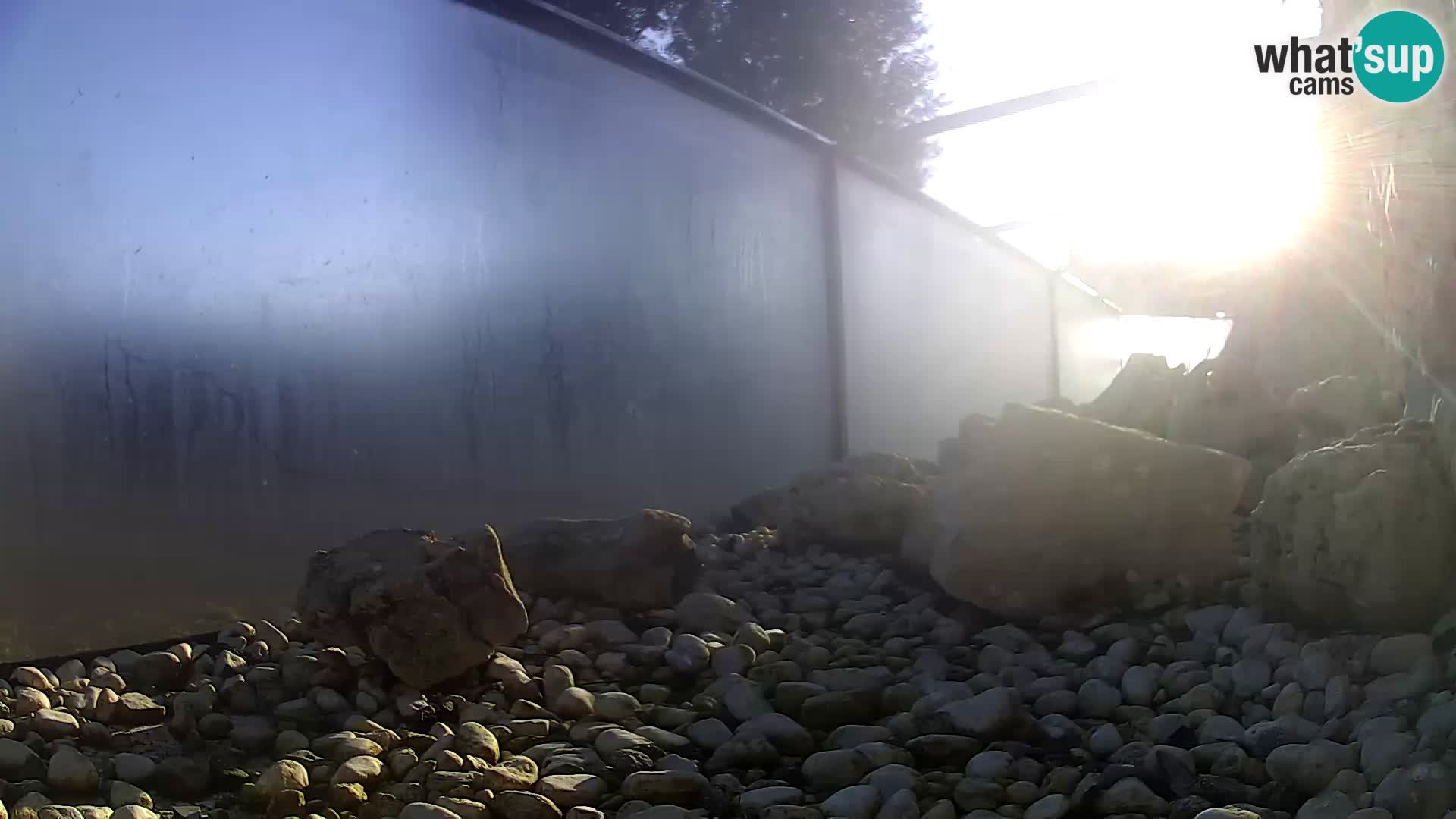 Outdoor Marine Aquarium Rogoznica webcam Croatia