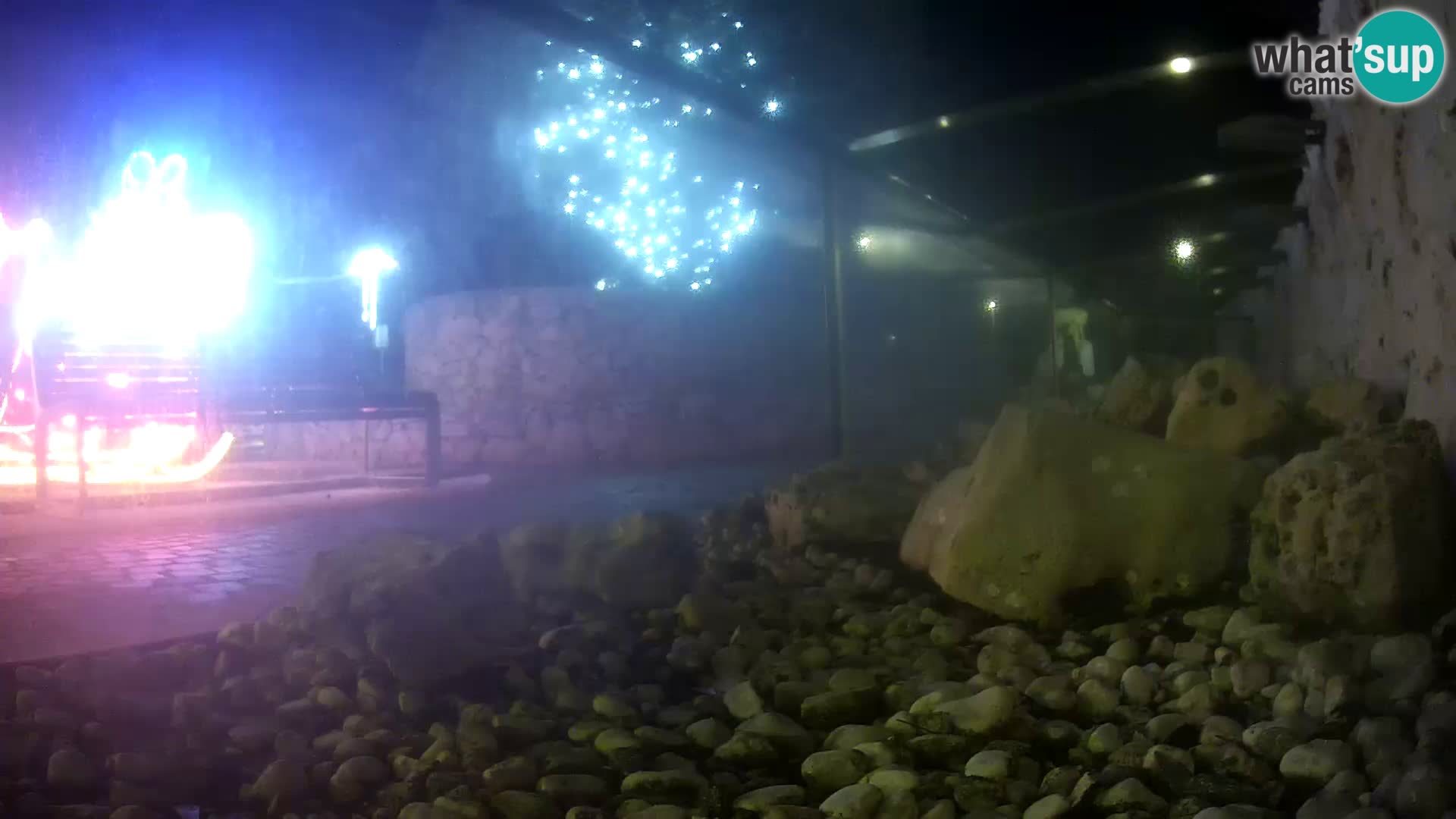 Aquario marino esterno –  Rogoznica livecam Croazia