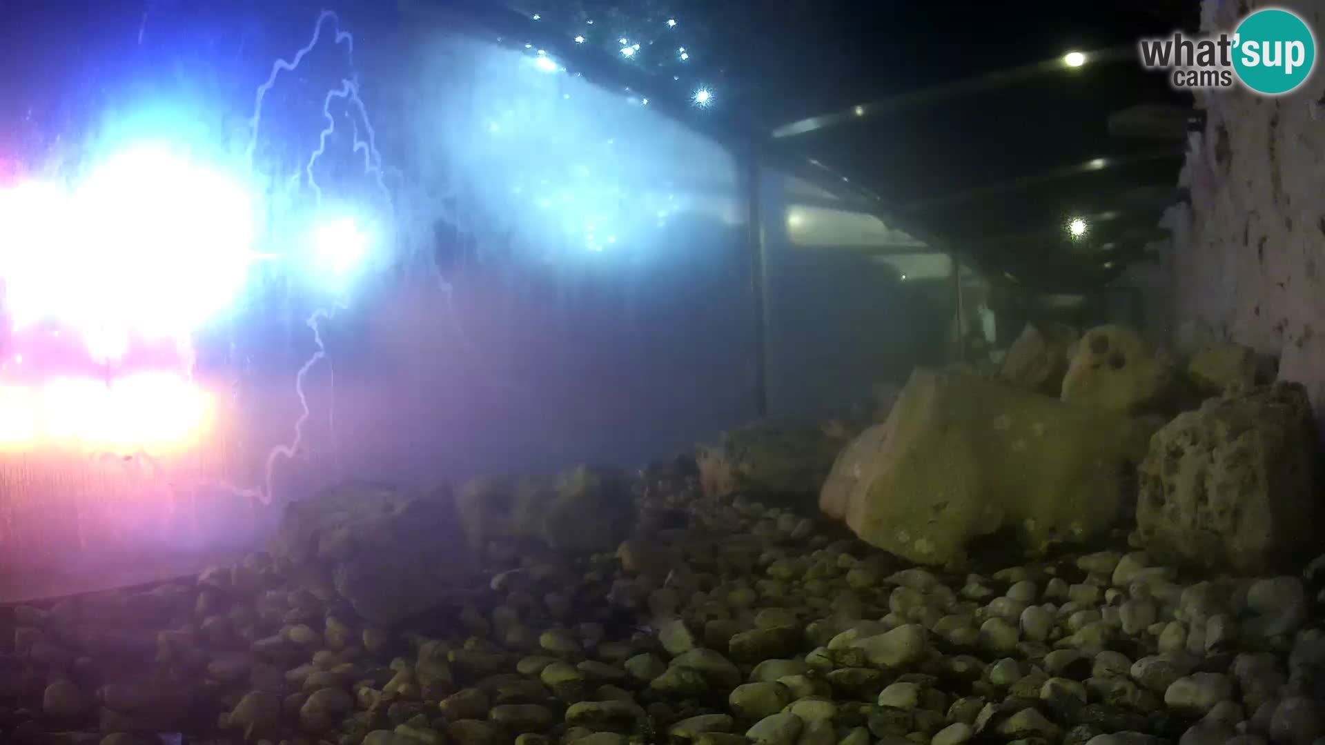 Webcam de l’aquarium marin extérieur de Rogoznica Croatie