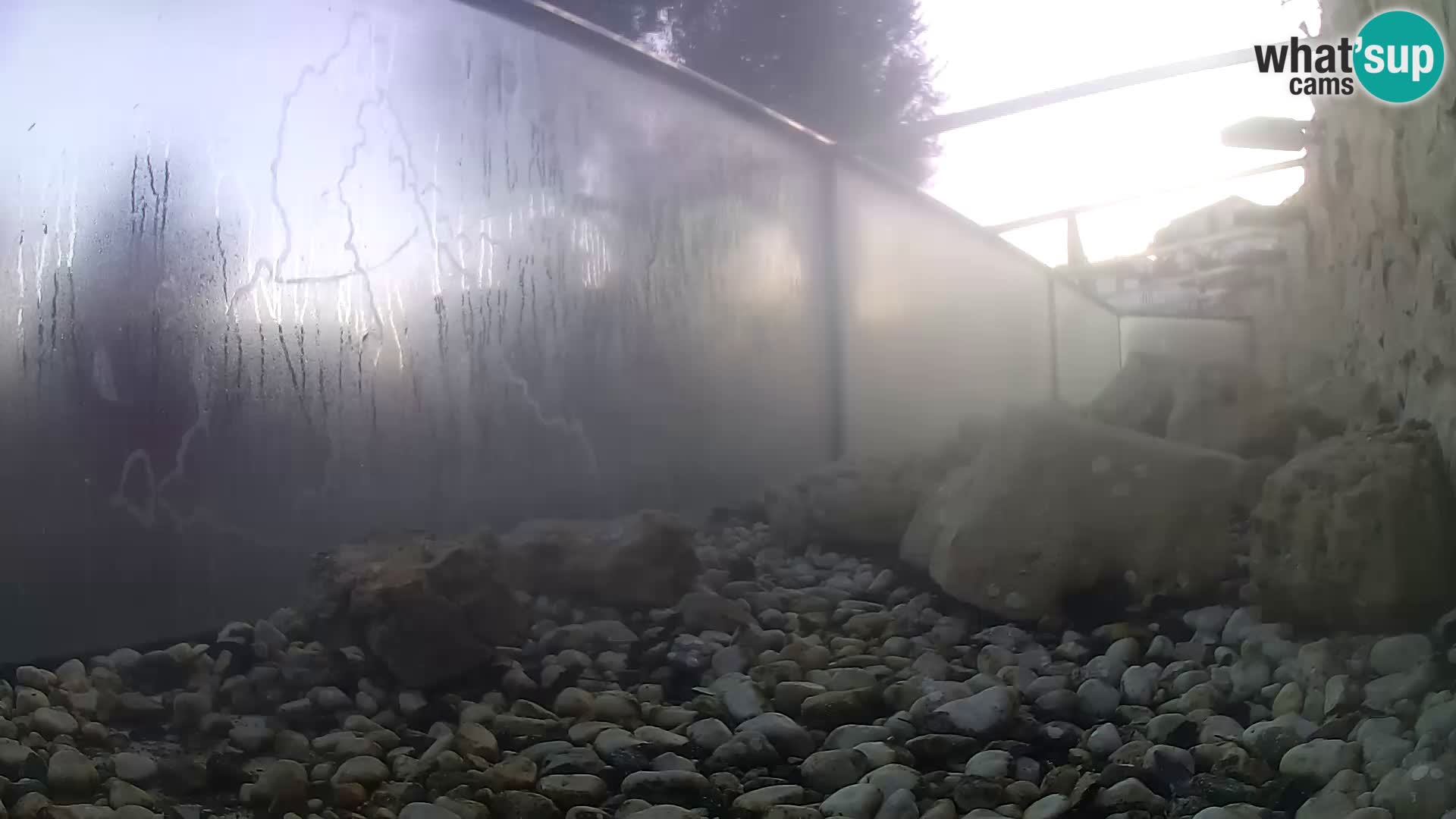 Vanjski morski akvarij Rogoznica web kamera Hrvatska