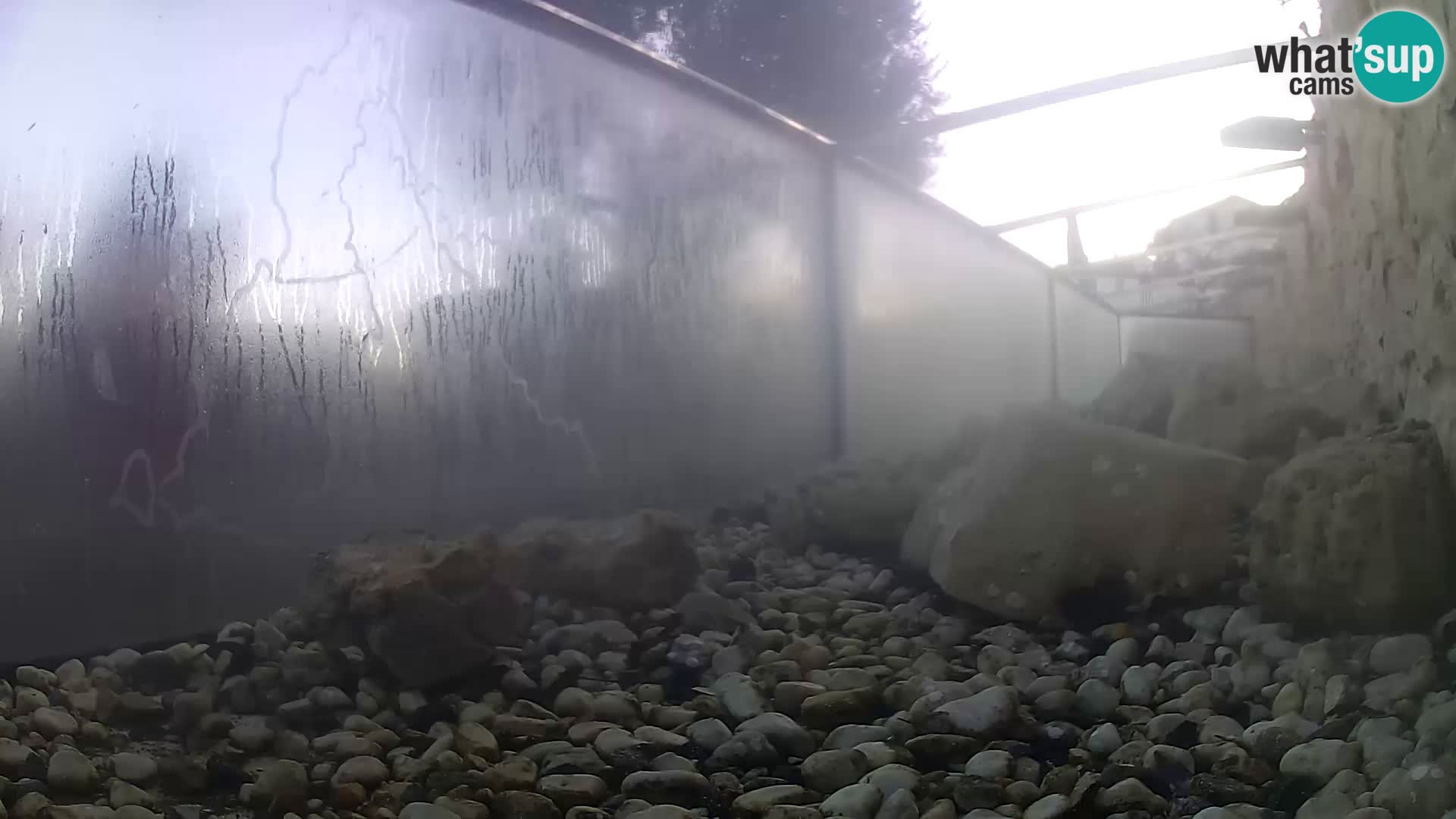 Acuario marino al aire libre Rogoznica webcam Croacia