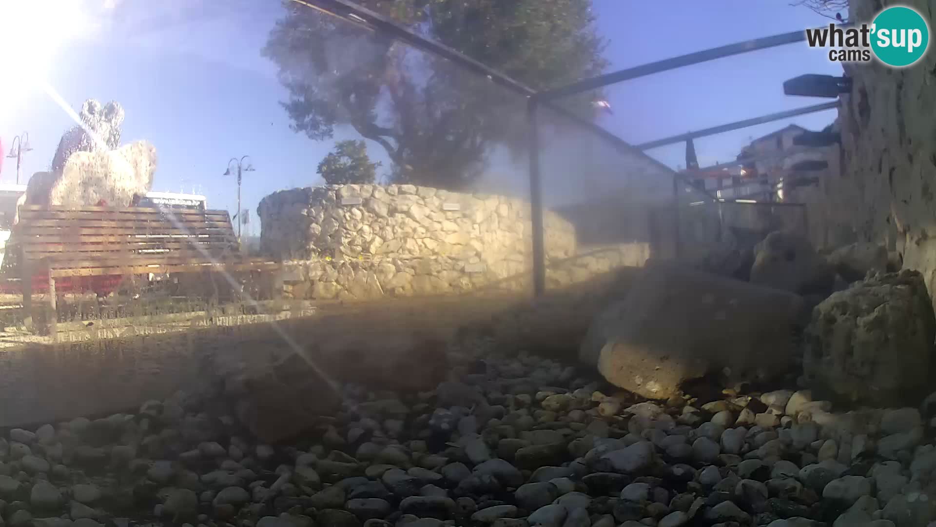 Webcam de l’aquarium marin extérieur de Rogoznica Croatie