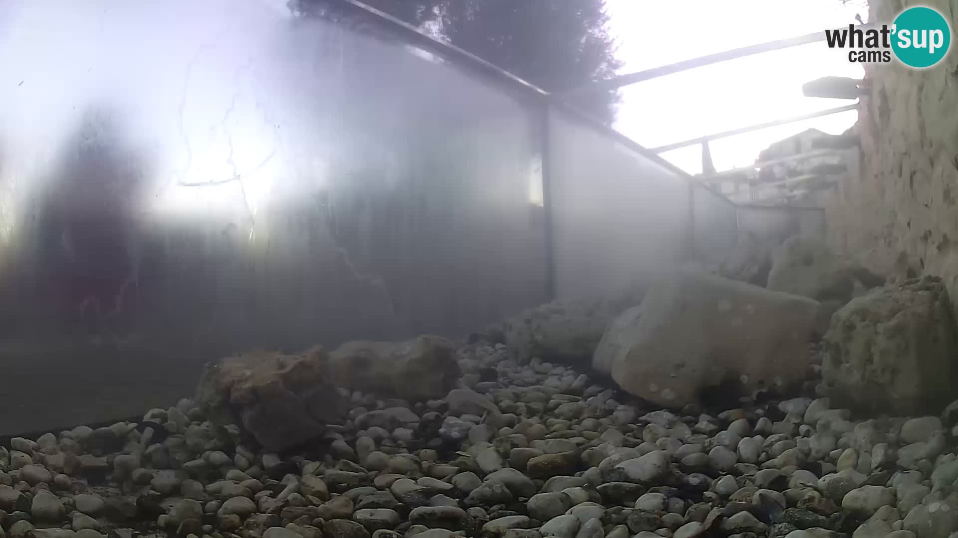 Marine Aquarium im Freien Rogoznica webcam Kroatien