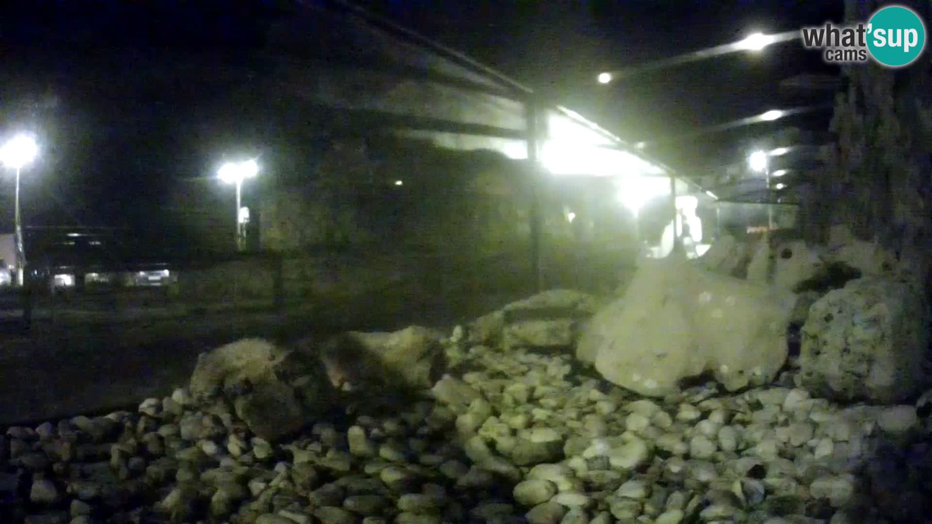 Marine Aquarium im Freien Rogoznica webcam Kroatien