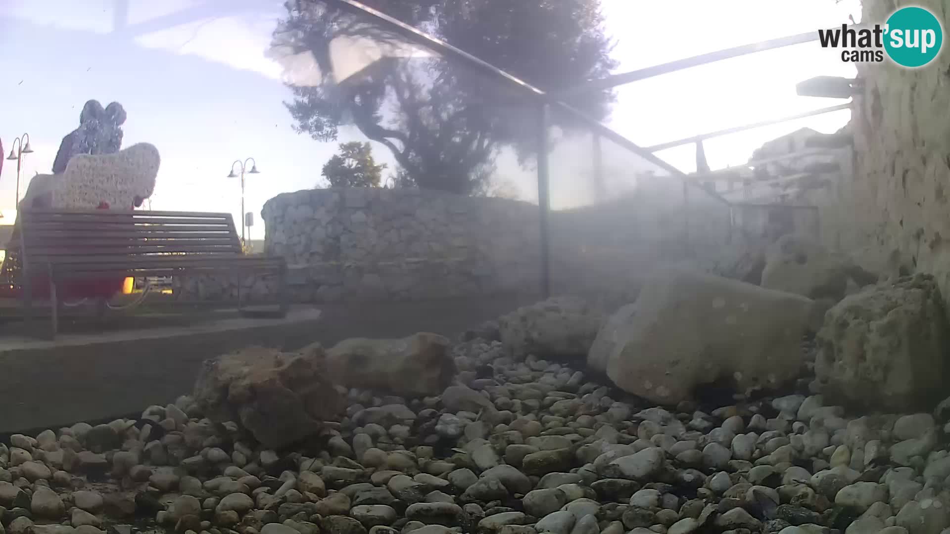 Webcam de l’aquarium marin extérieur de Rogoznica Croatie