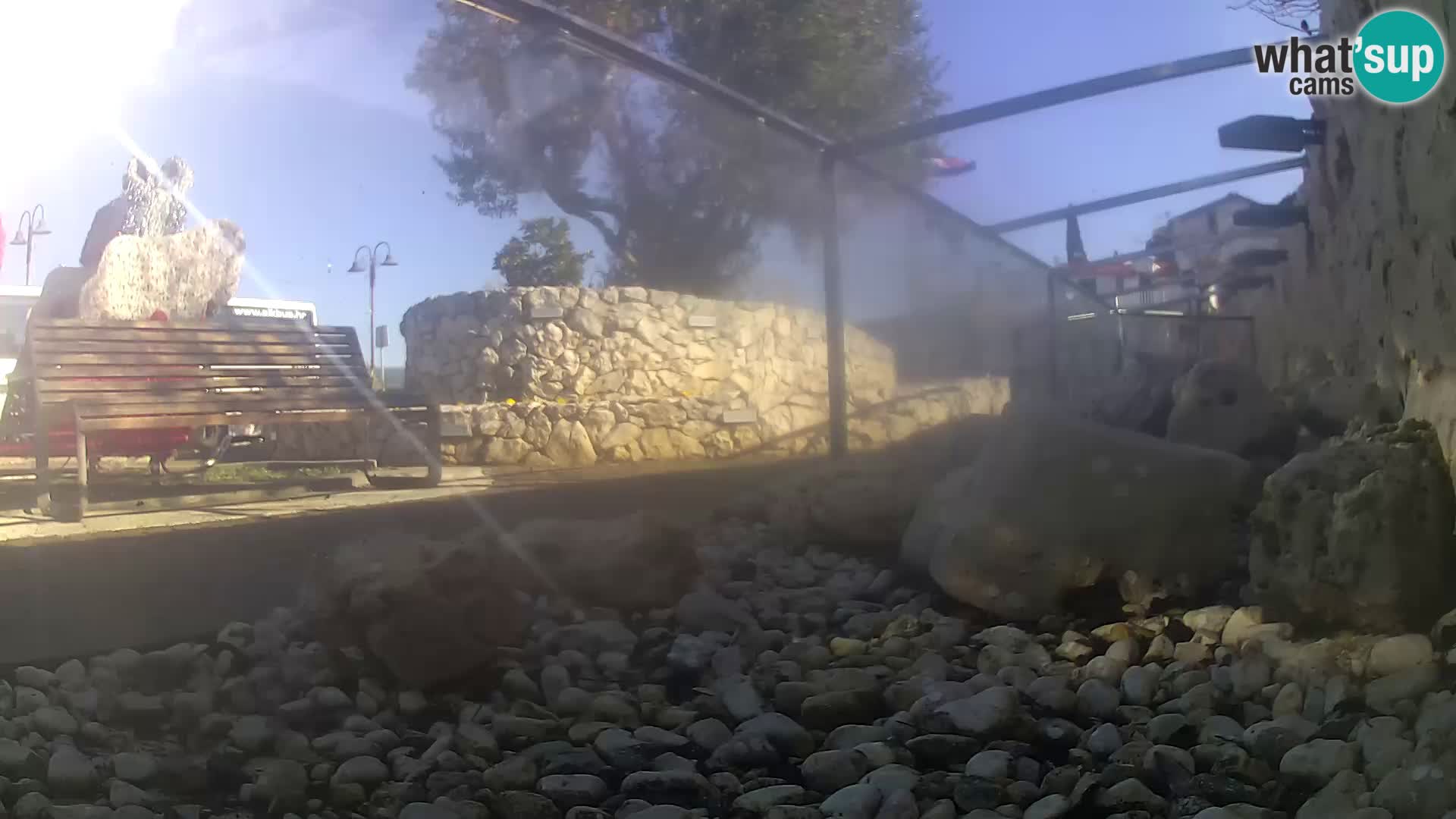 Zunanji morski akvarij Rogoznica spletna kamera Hrvaška