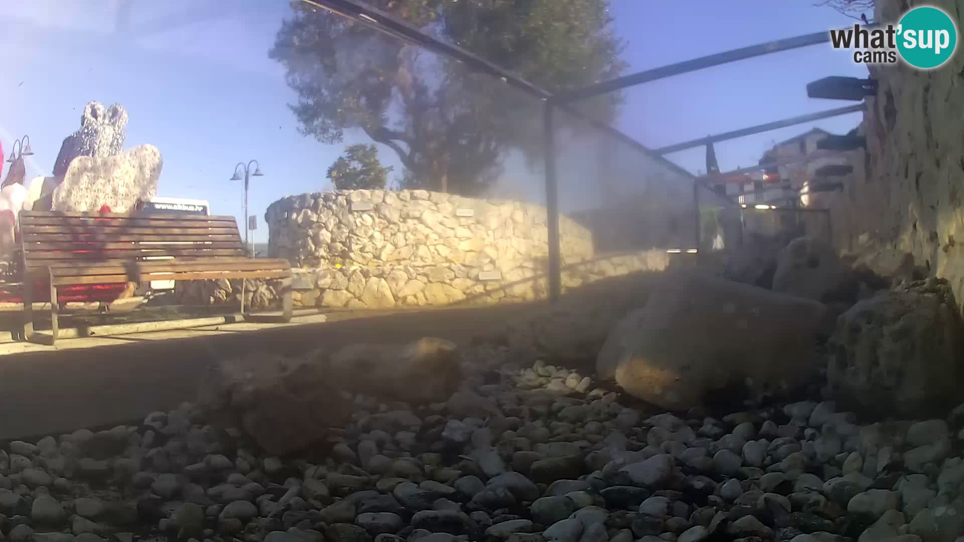 Aquario marino esterno –  Rogoznica livecam Croazia