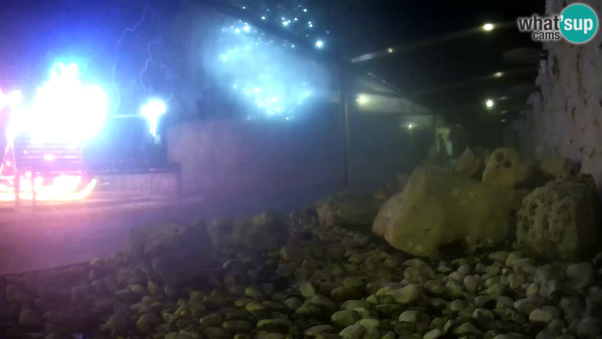 Webcam de l’aquarium marin extérieur de Rogoznica Croatie
