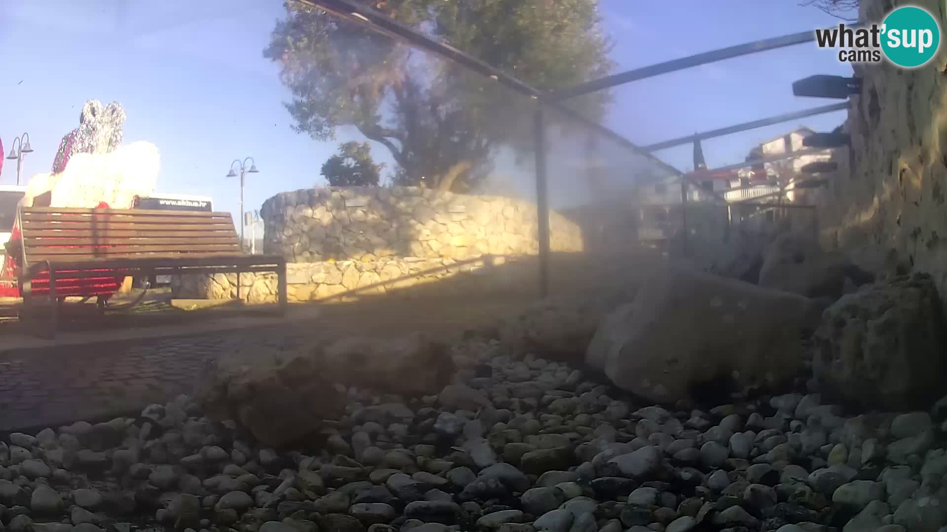 Aquario marino esterno –  Rogoznica livecam Croazia