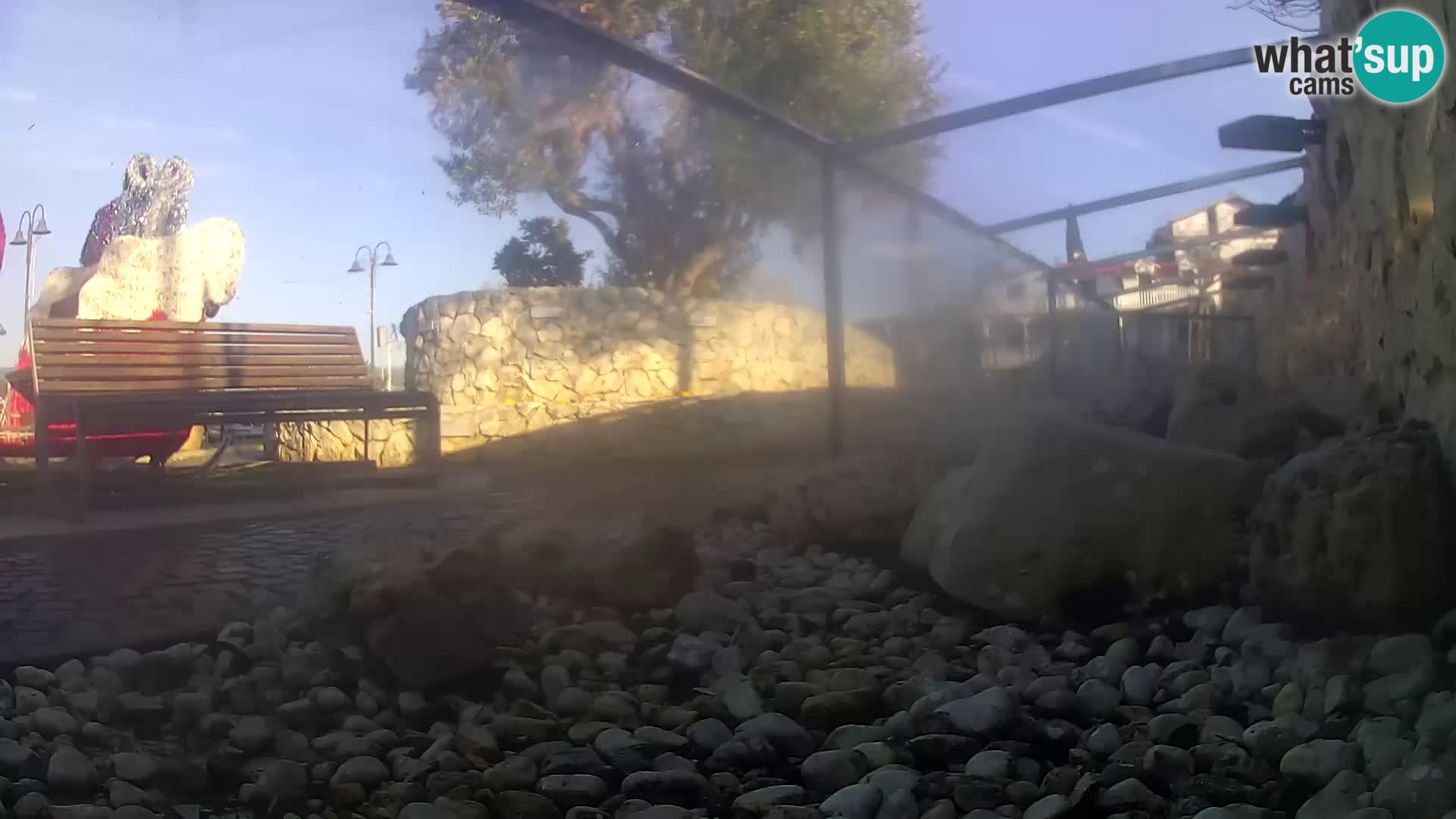 Aquario marino esterno –  Rogoznica livecam Croazia