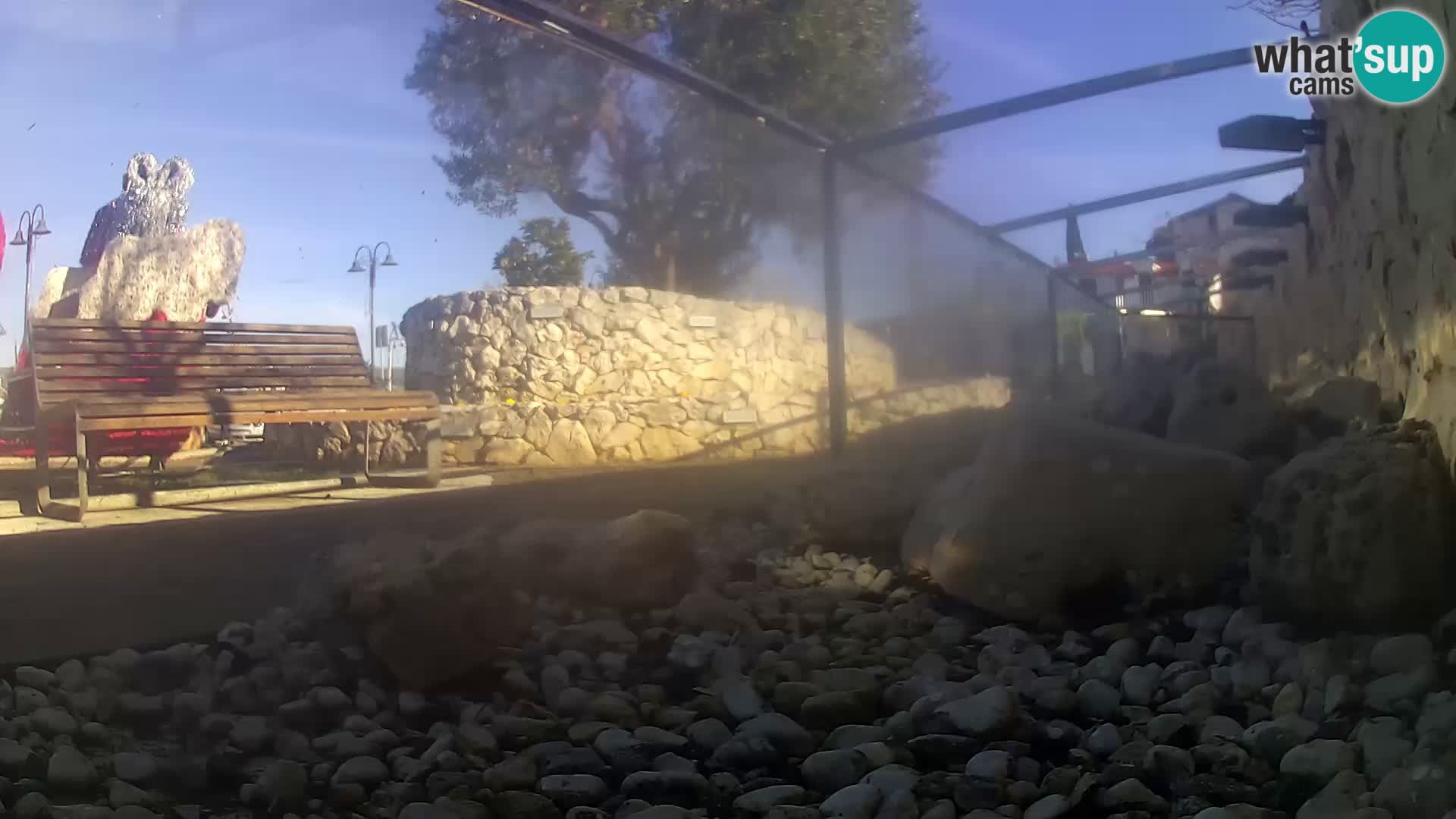 Zunanji morski akvarij Rogoznica spletna kamera Hrvaška