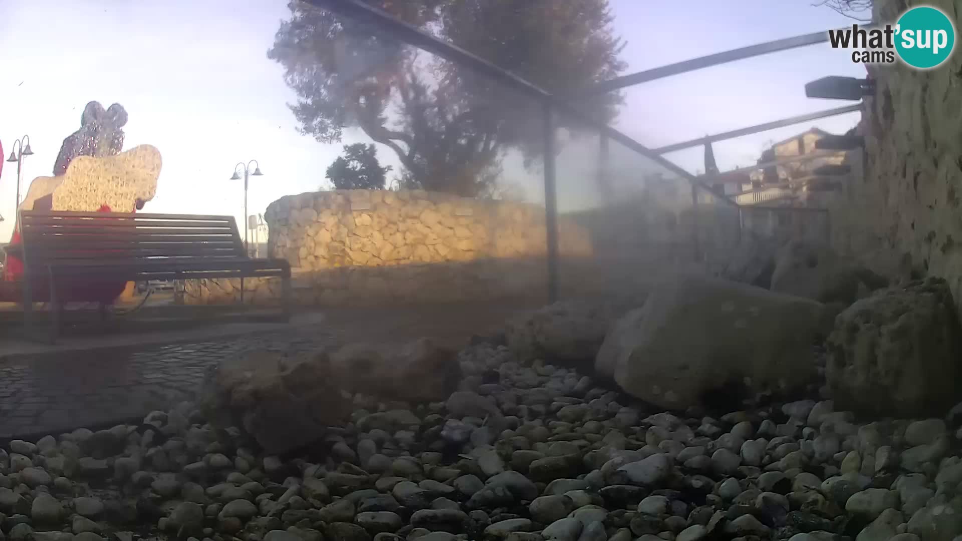 Zunanji morski akvarij Rogoznica spletna kamera Hrvaška