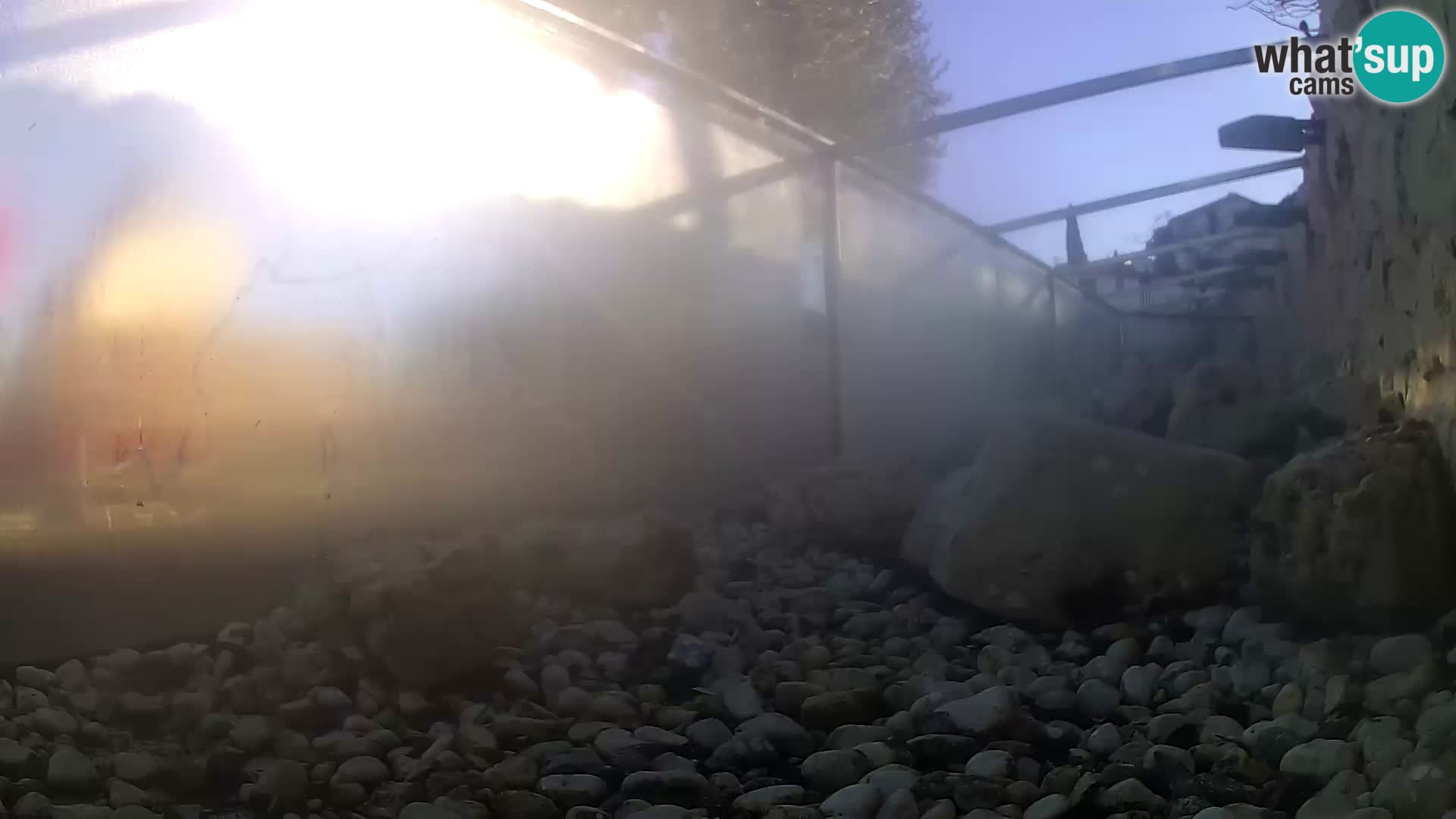 Zunanji morski akvarij Rogoznica spletna kamera Hrvaška