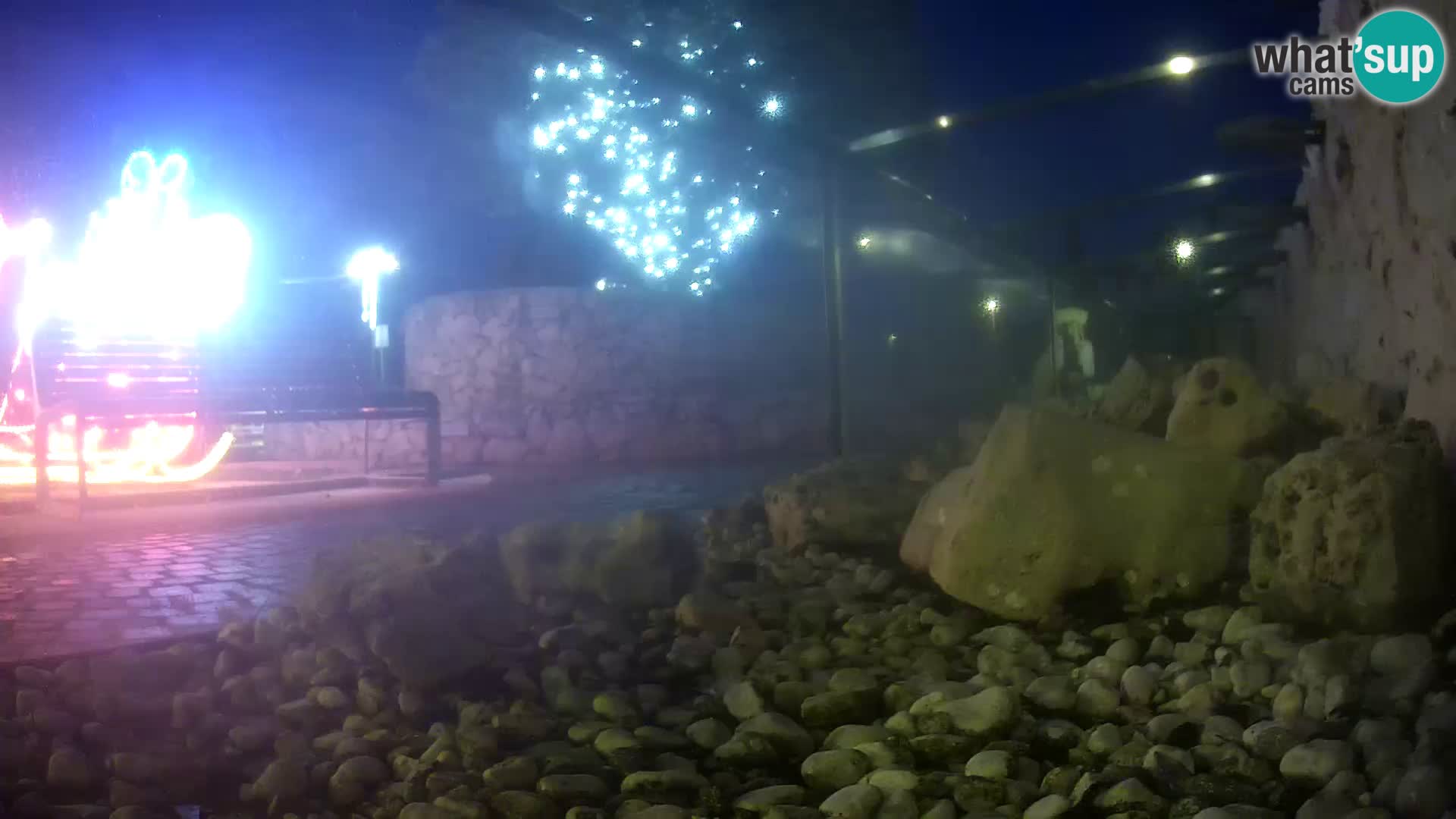 Acuario marino al aire libre Rogoznica webcam Croacia
