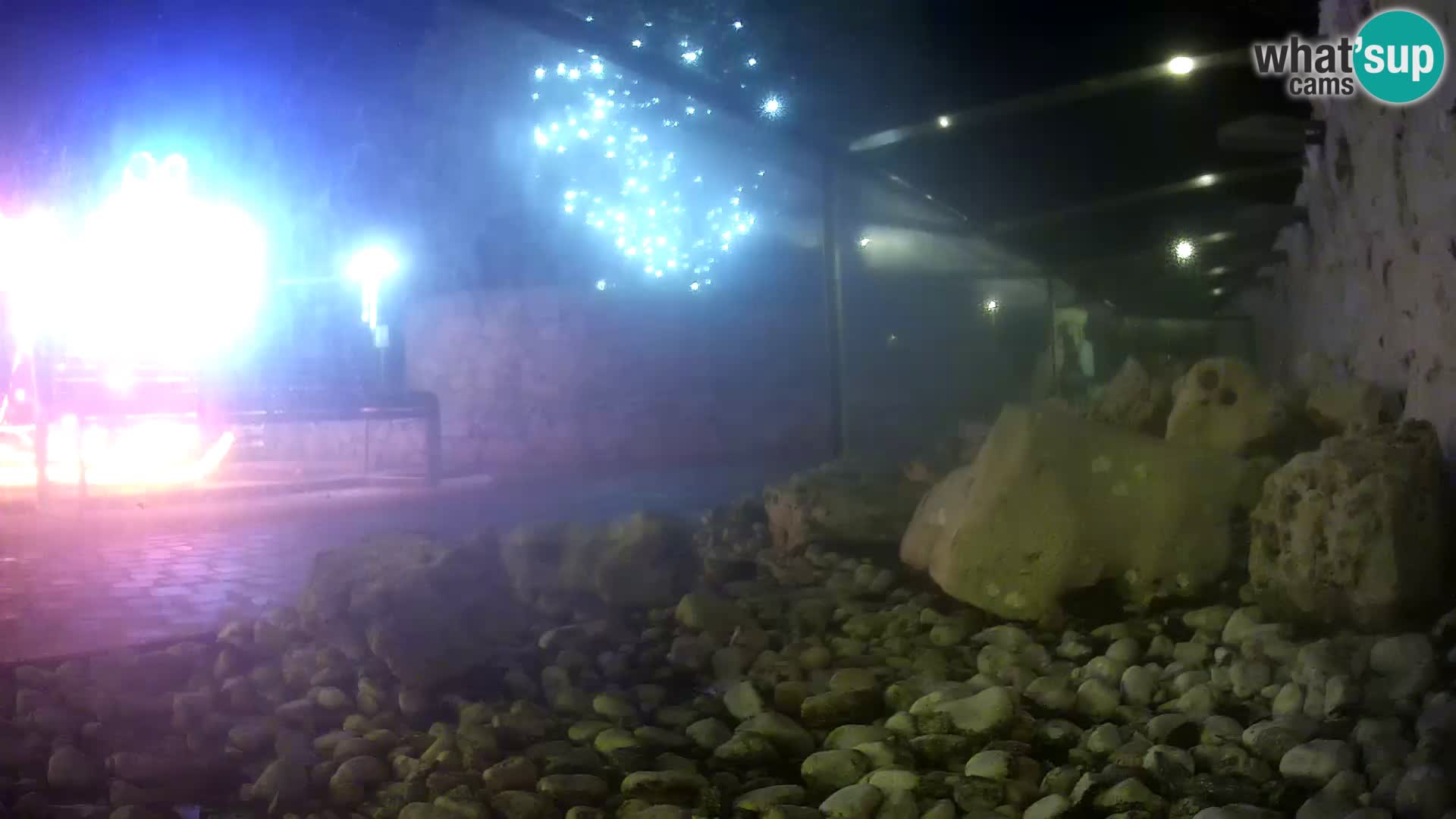 Aquario marino esterno –  Rogoznica livecam Croazia