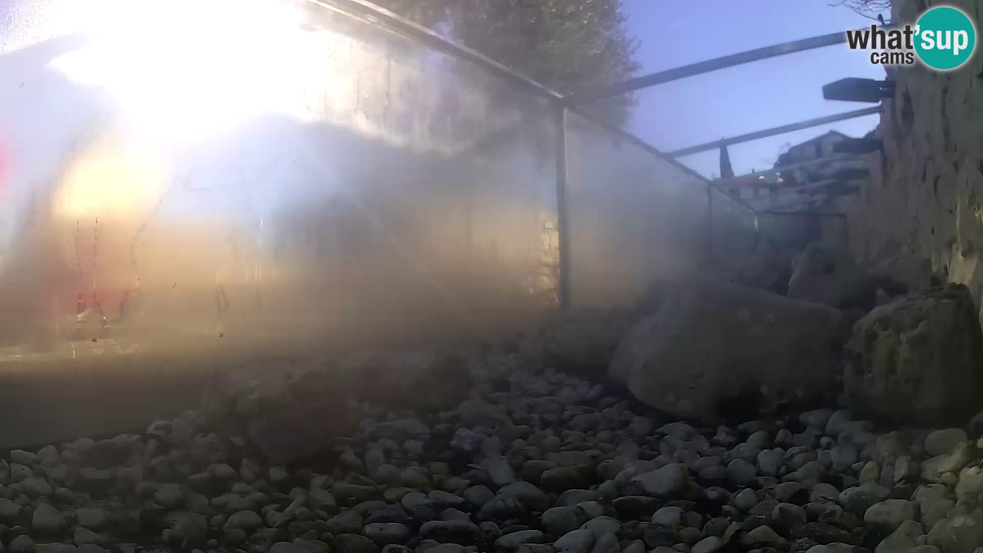 Acuario marino al aire libre Rogoznica webcam Croacia