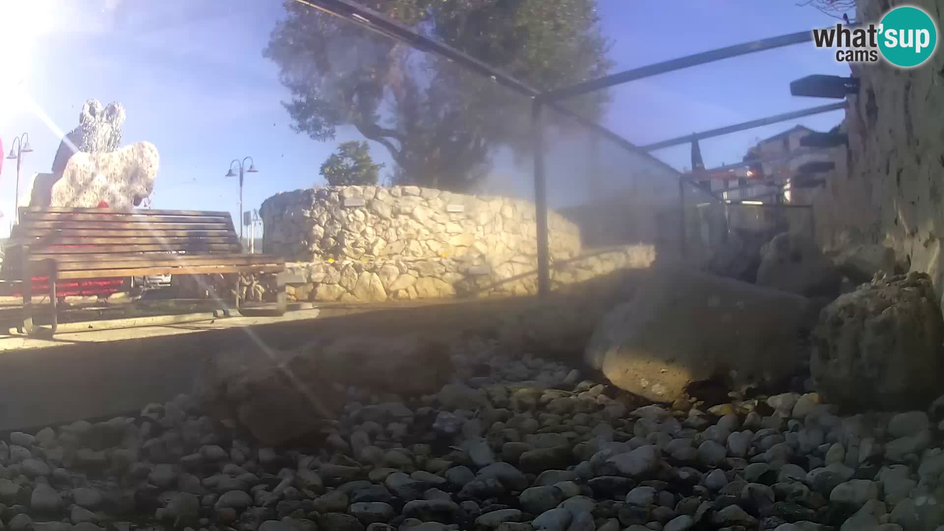 Webcam de l’aquarium marin extérieur de Rogoznica Croatie